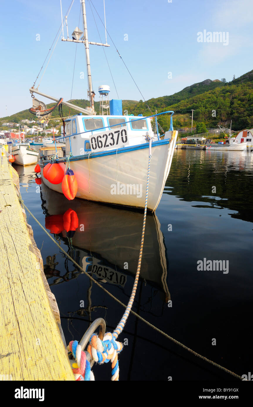Angelboot/Fischerboot im kleinen Hafen Maddox Cove Neufundland Kanada angedockt Stockfoto