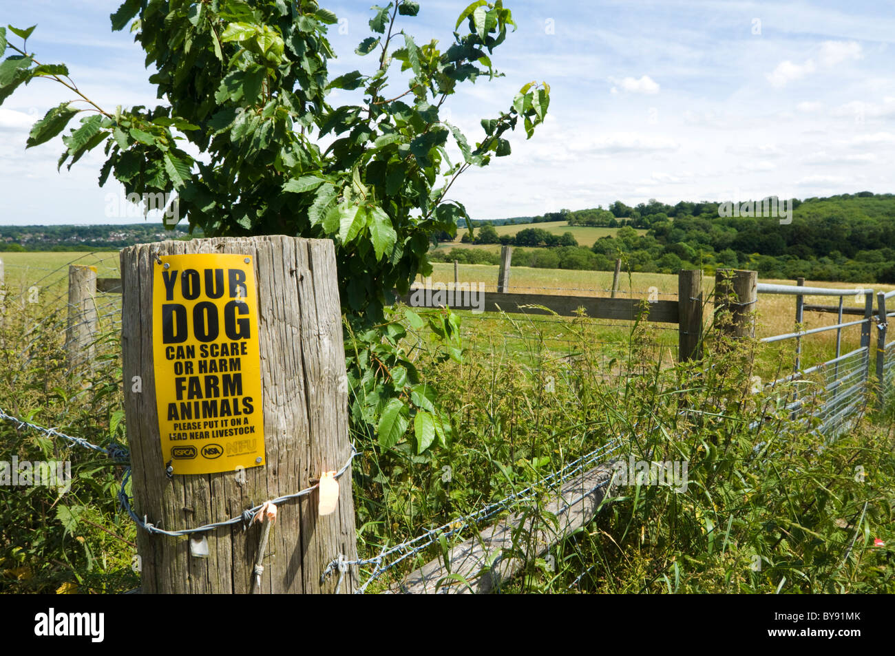 Ihr Hund kann erschrecken Tiere Warnschild, Farthing Downs, Großbritannien Stockfoto