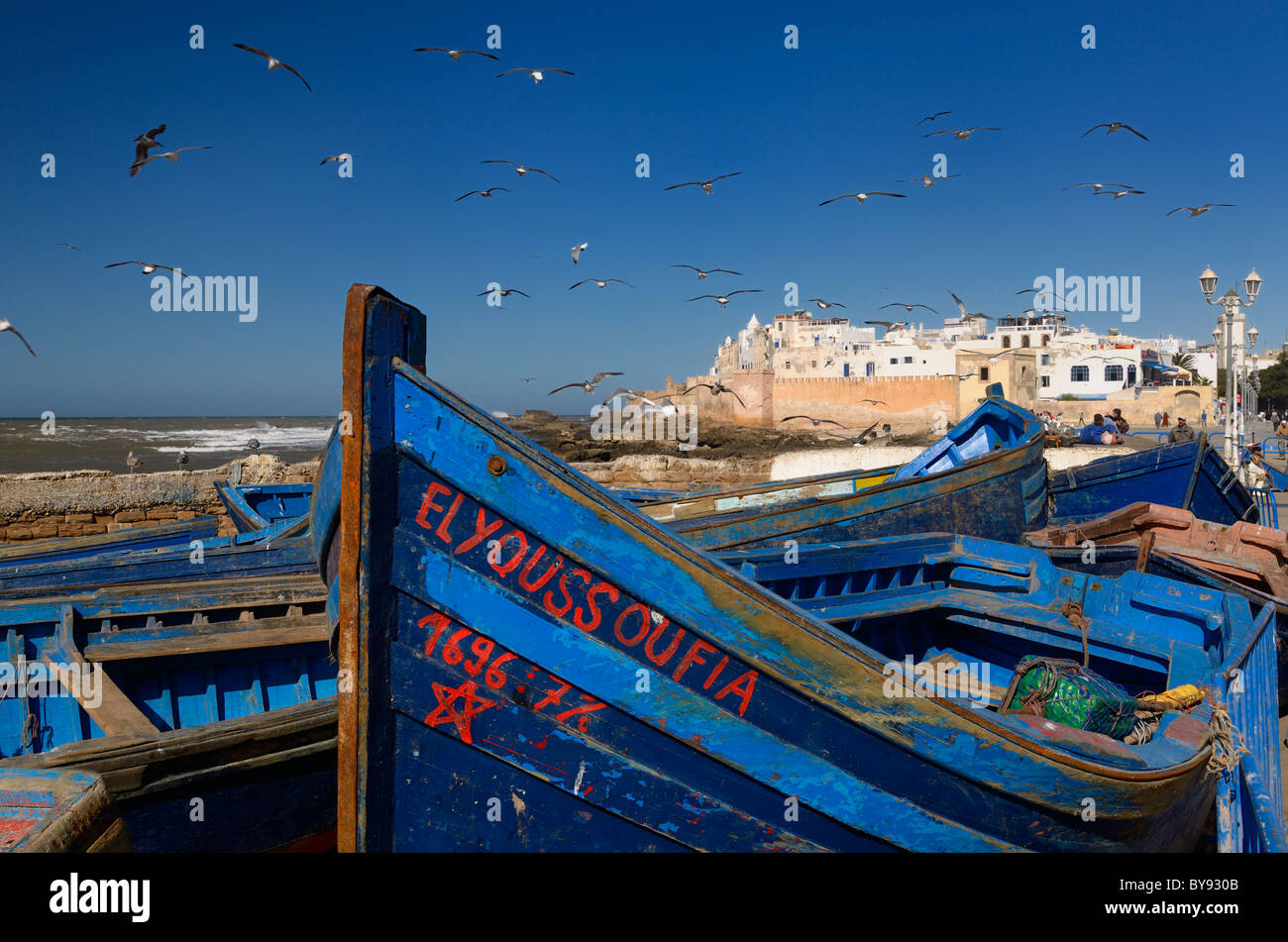 Blau Fischerboote und die Möwen mit Stadtmauer von Essaouira Marokko und blauer Himmel Stockfoto