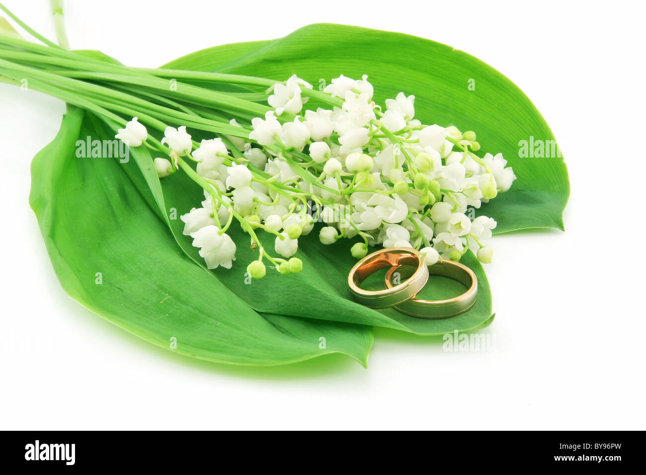 Lily Of The Valley und goldene Ringe, Isolated on White Stockfoto