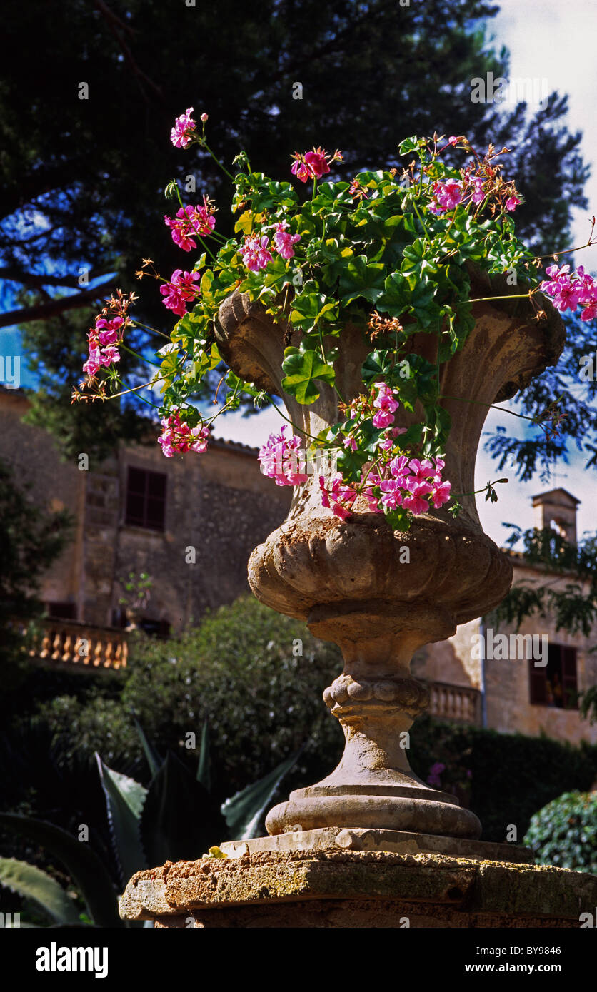 Garten der Finca Els Calderers in der Nähe von Sant Joan, Mallorca, Spanien Stockfoto