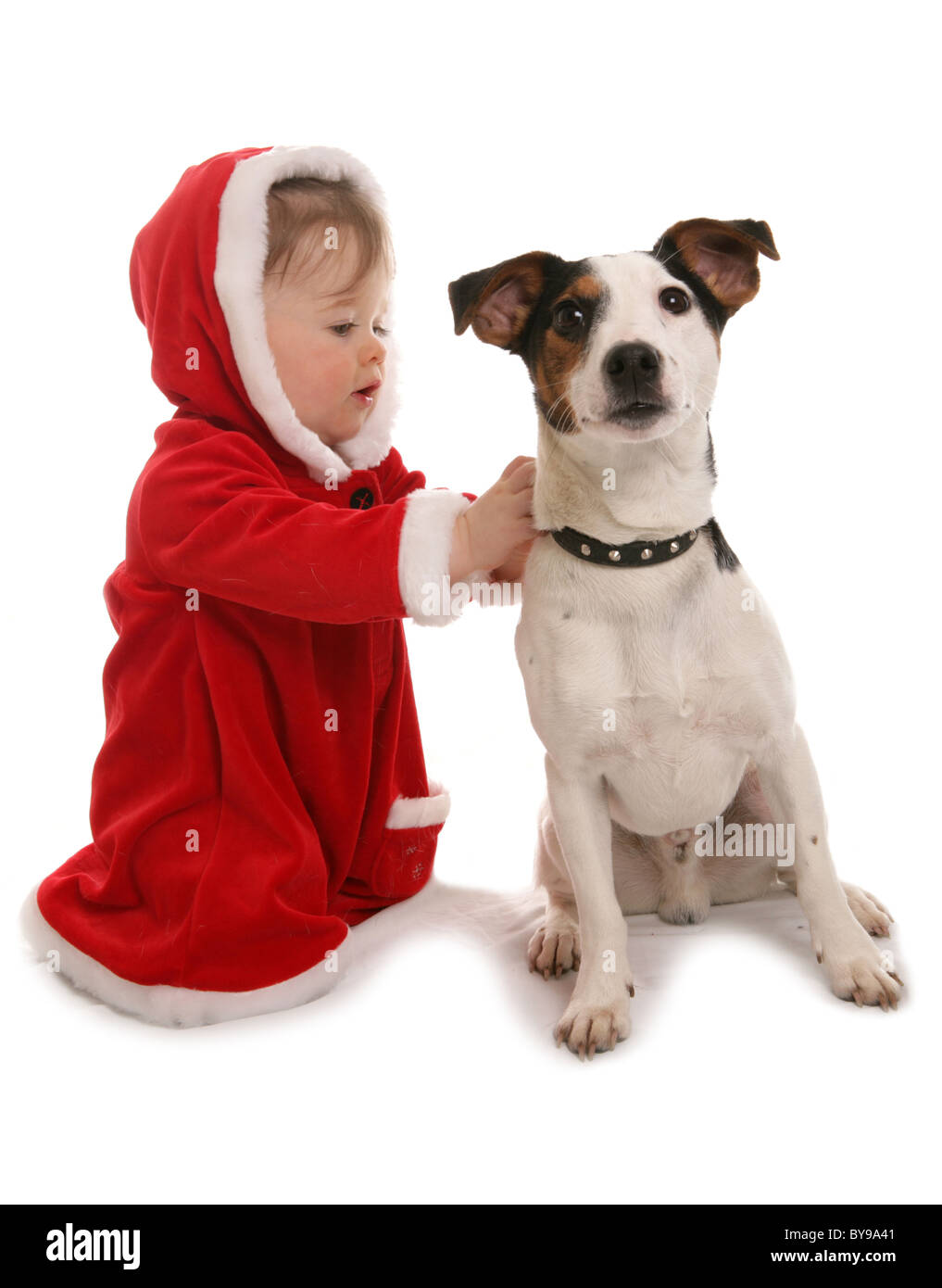 Kleinkind mit Hund jährige Mädchen mit Jack Russell Hunde Studio Stockfoto