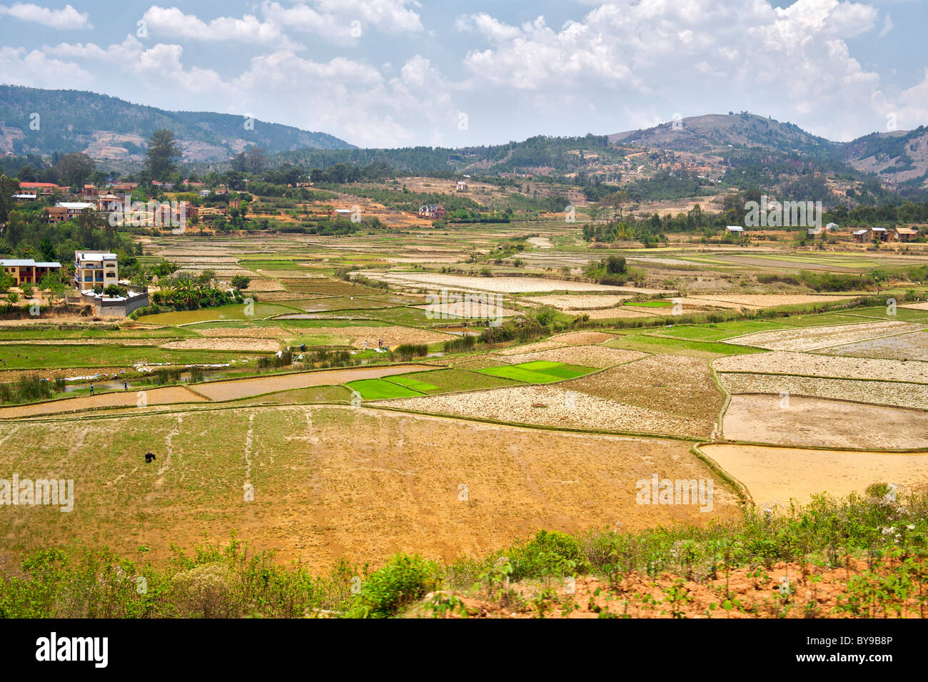 Reisfelder und die umliegende Landschaft am Rande der Stadt Ambositra in Süden-zentralem Madagaskar. Stockfoto