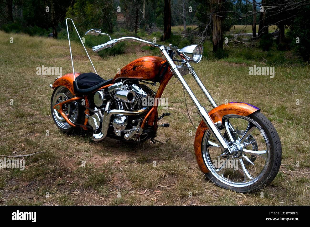 Harley Davidson chopper Stockfoto