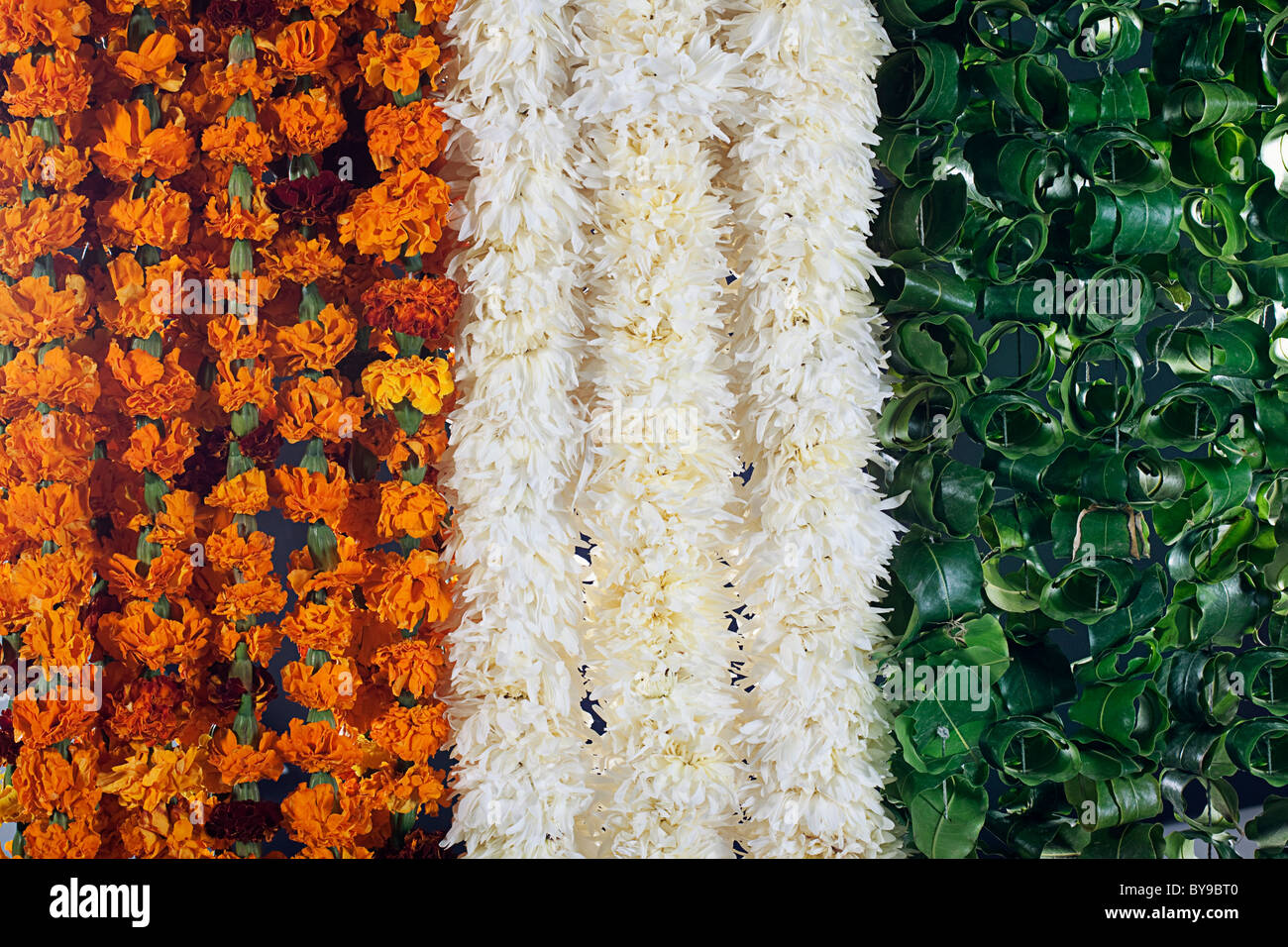 Blumen in verschiedenen Farben Stockfoto