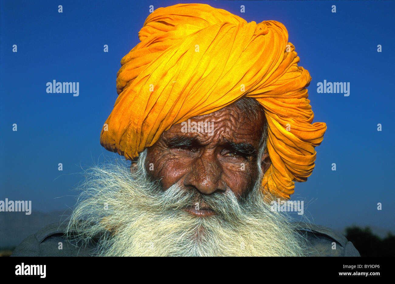 Porträt eines indischen Mannes gekennzeichnet durch ein hartes Leben, Rajasthani mit gelben Turban, Thar-Wüste, Pushkar, Rajasthan Stockfoto