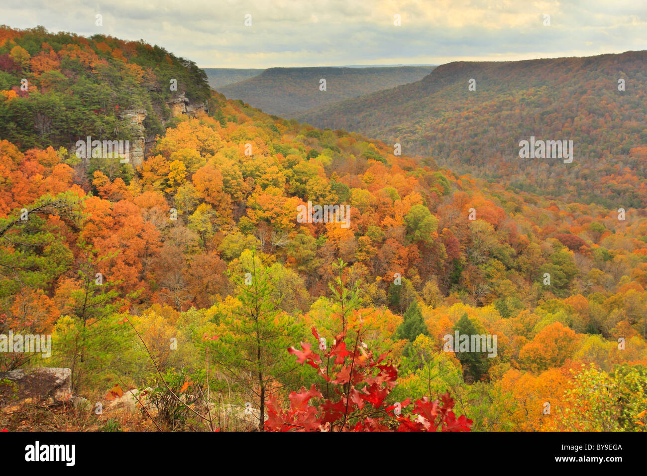 Blick vom Laurel Golf übersehen, Tür Steinlehrpfad, Savage Golfstaat Naturraum, Beersheba Springs, Tennessee, USA Stockfoto