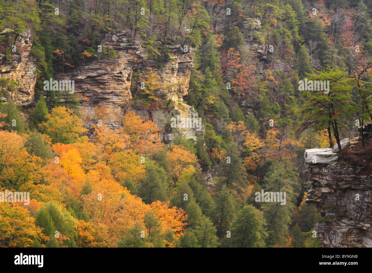 Cane Creek Canyon, Herbst Creek Falls State Park Resort, Pikeville, Tennessee, USA Stockfoto