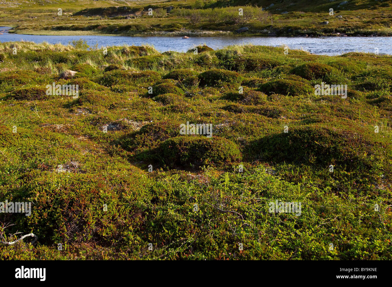 Querformat Barentssee, Arktis, Russland Stockfoto
