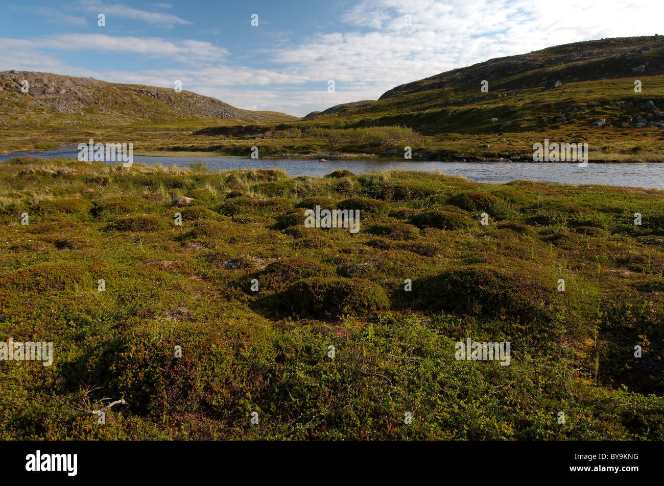 Querformat Barentssee, Arktis, Russland Stockfoto