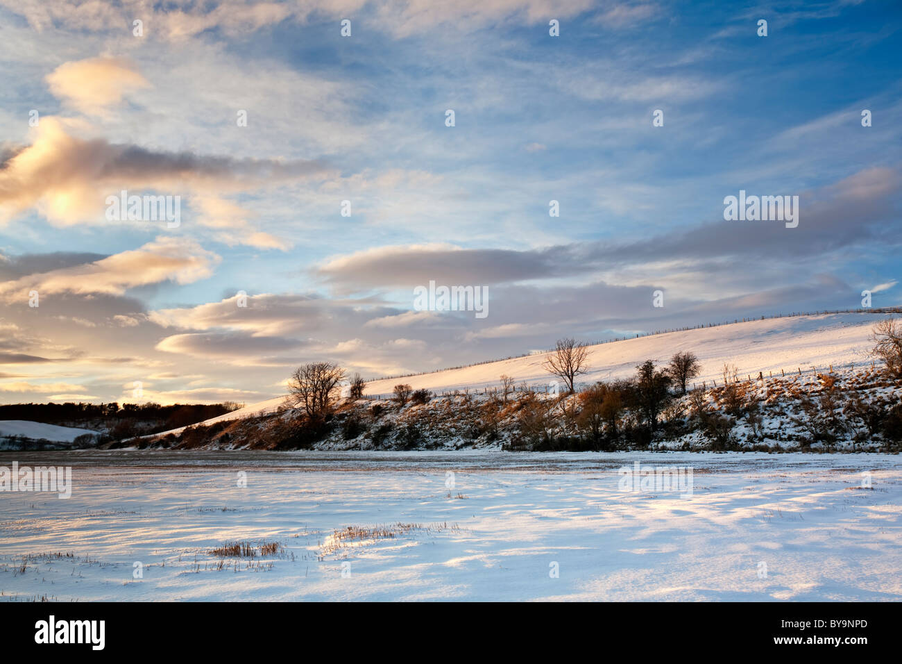 Winter in Angus. Außerordentlich schweren Schnee und kalten Tempratures im Dezember 2010. Stockfoto