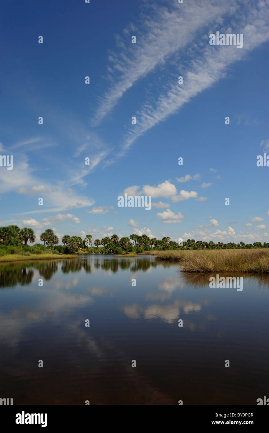 Coastal Teiche im St. Marks Wildlife Refuge in der Nähe von Golf von Mexiko Stockfoto