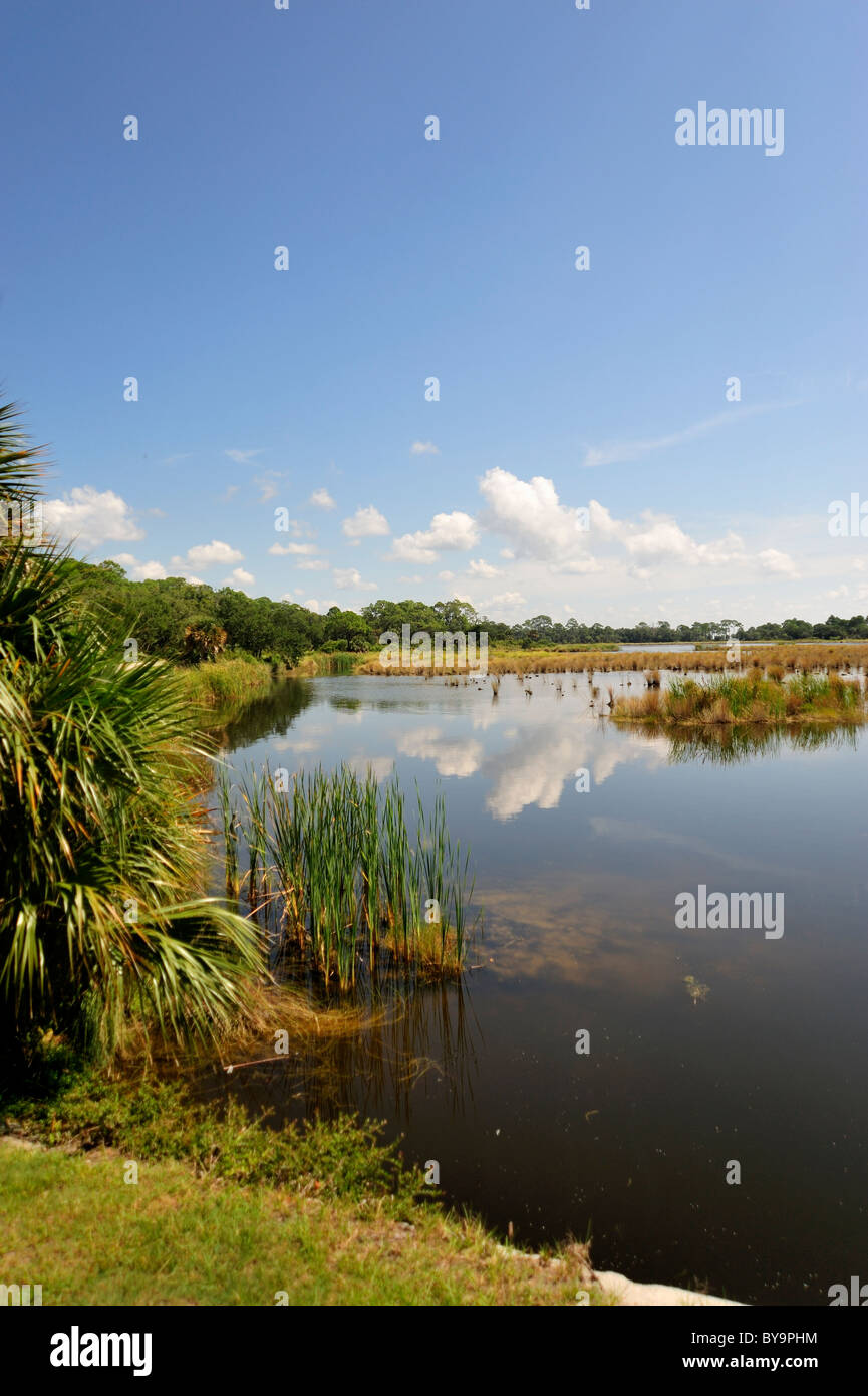 Coastal Teiche im St. Marks Wildlife Refuge in der Nähe von Golf von Mexiko Stockfoto