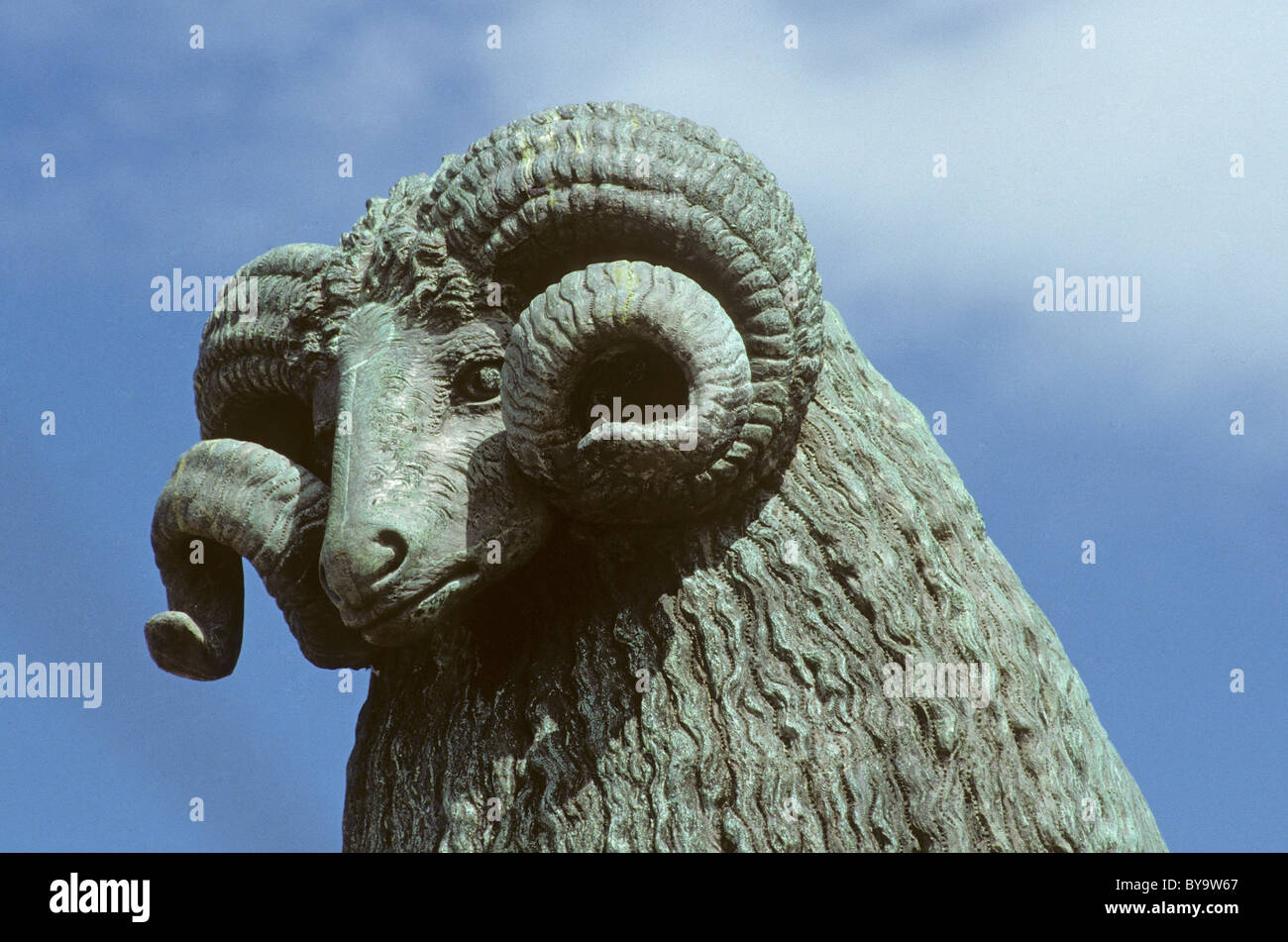 Moffat Ram, Moffat, Dumfriesshire Stockfoto