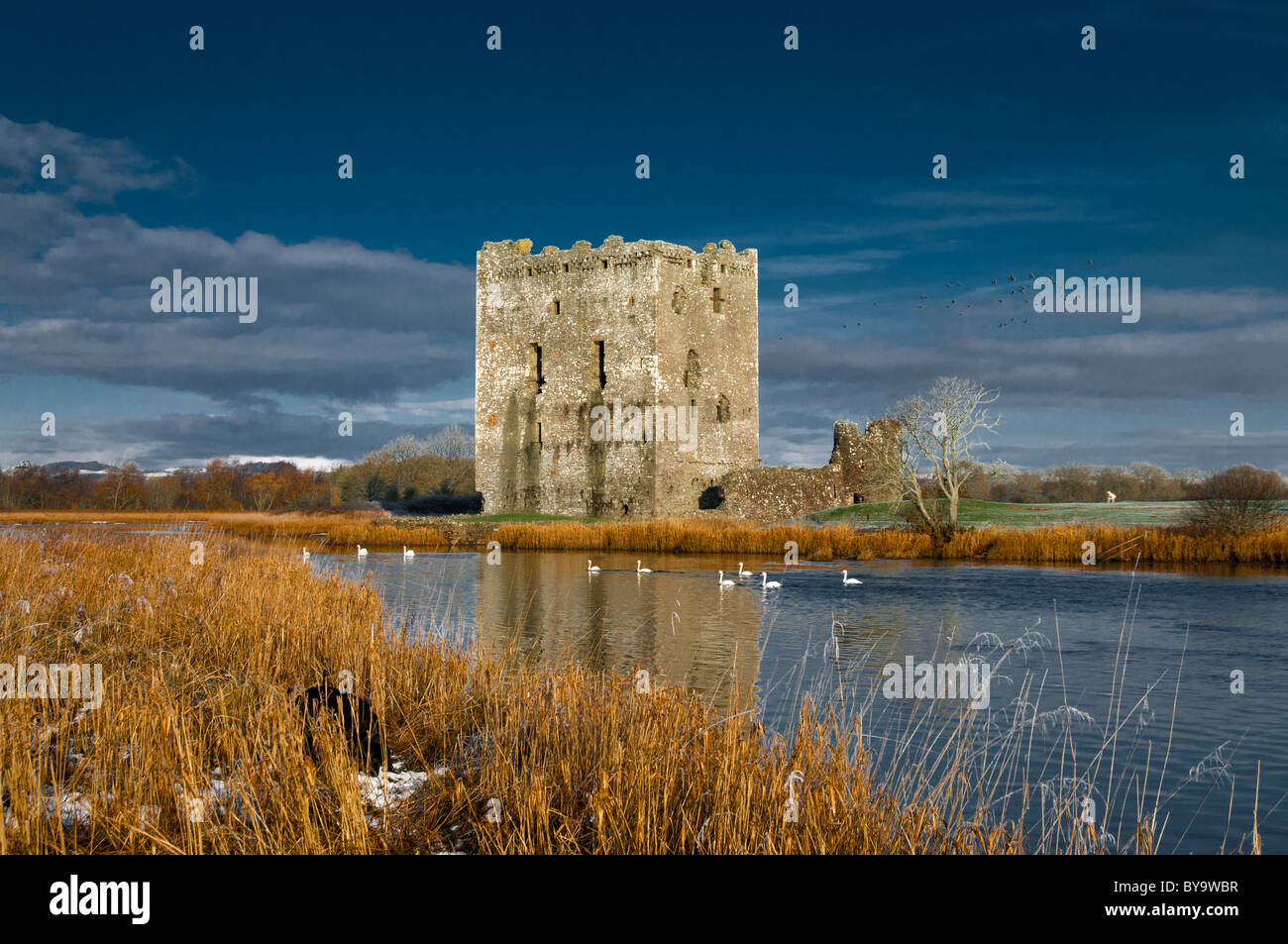 Threave Castle und River Dee Galloway Stockfoto