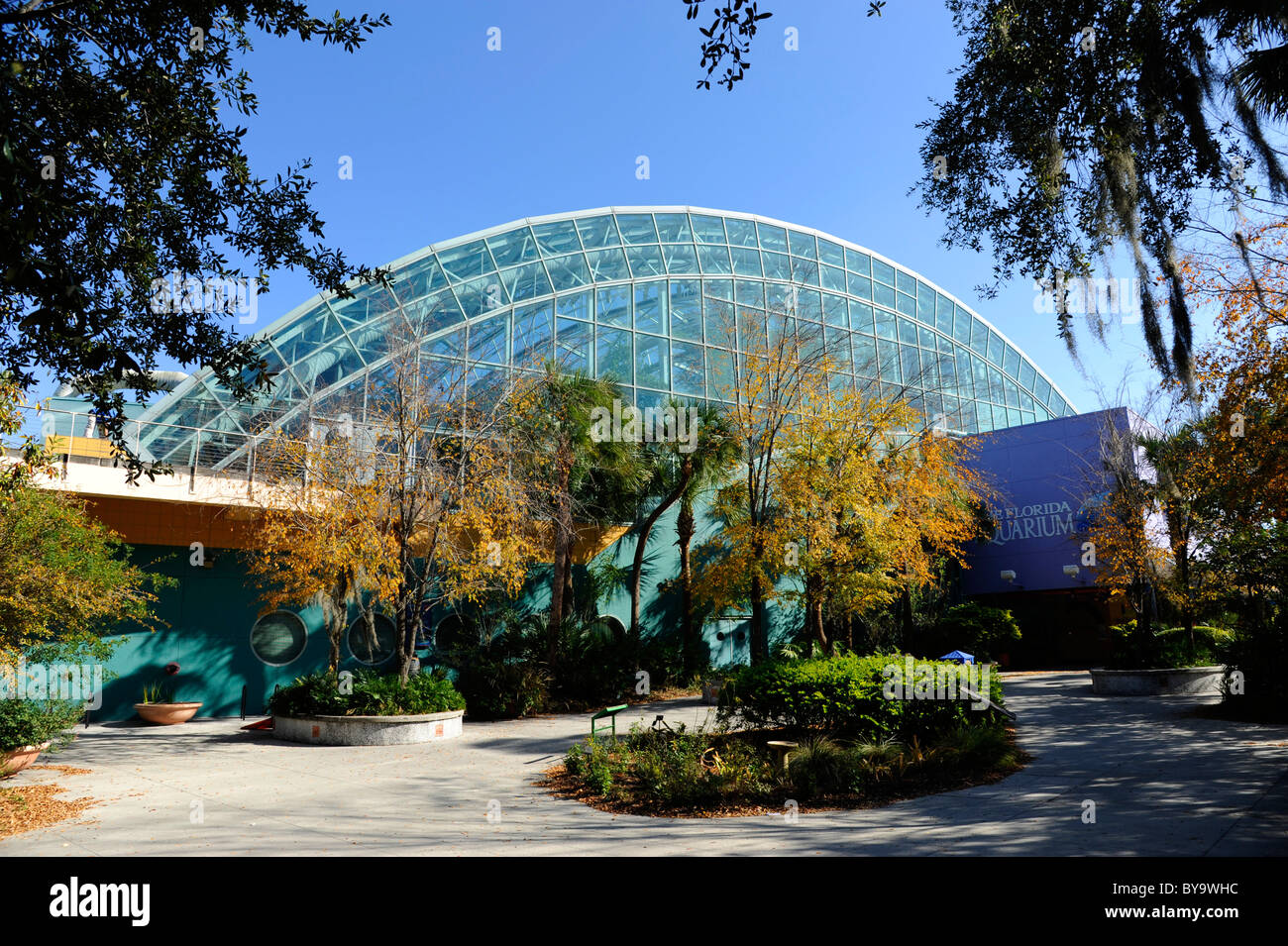 Das Florida Aquarium Downtown Tampa Florida Stockfoto