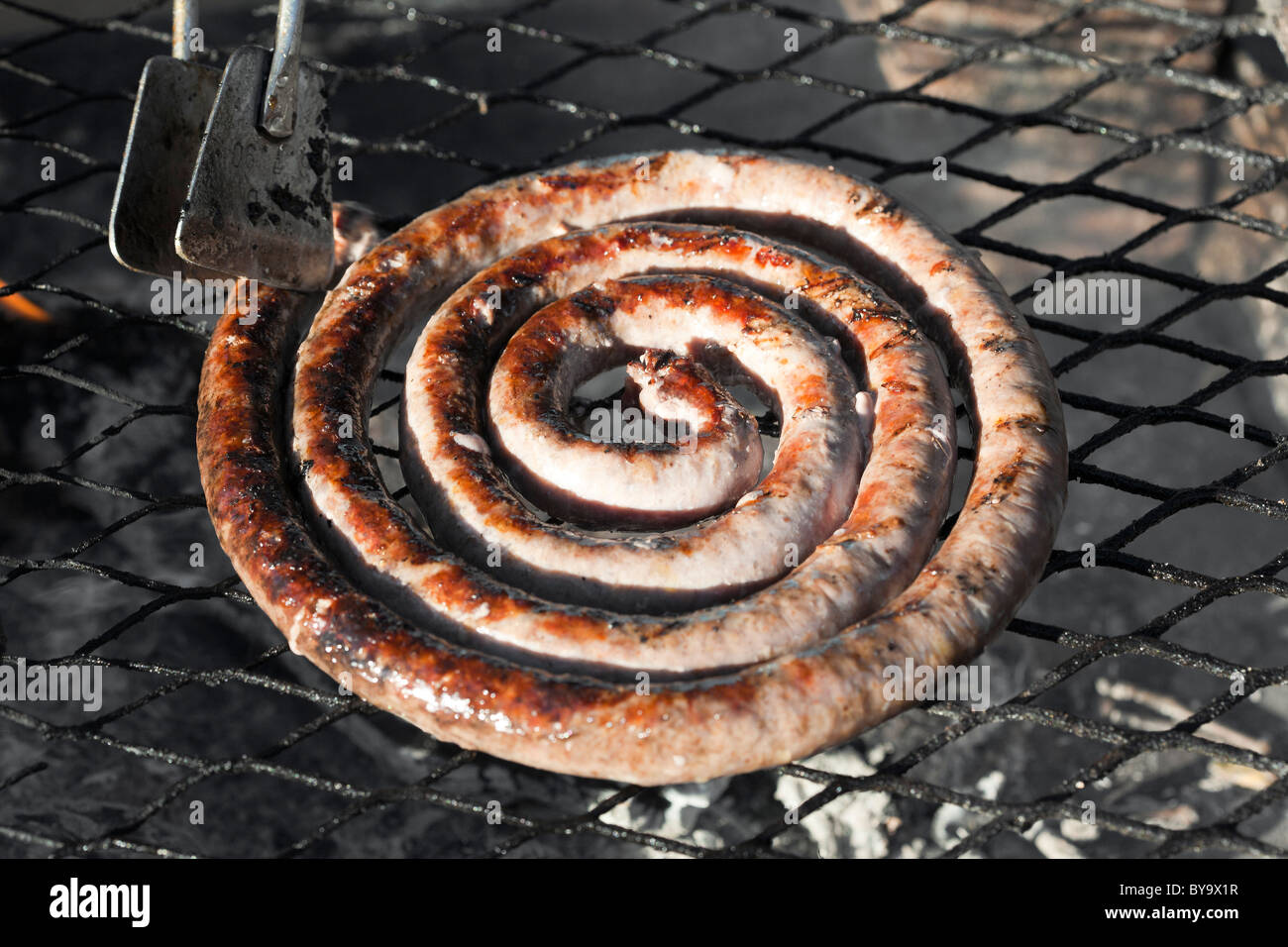 Traditionellen südafrikanischen Wurst Boerewors oder einfach nur Wors gegrillt auf ein traditionelles Braai genannt Stockfoto