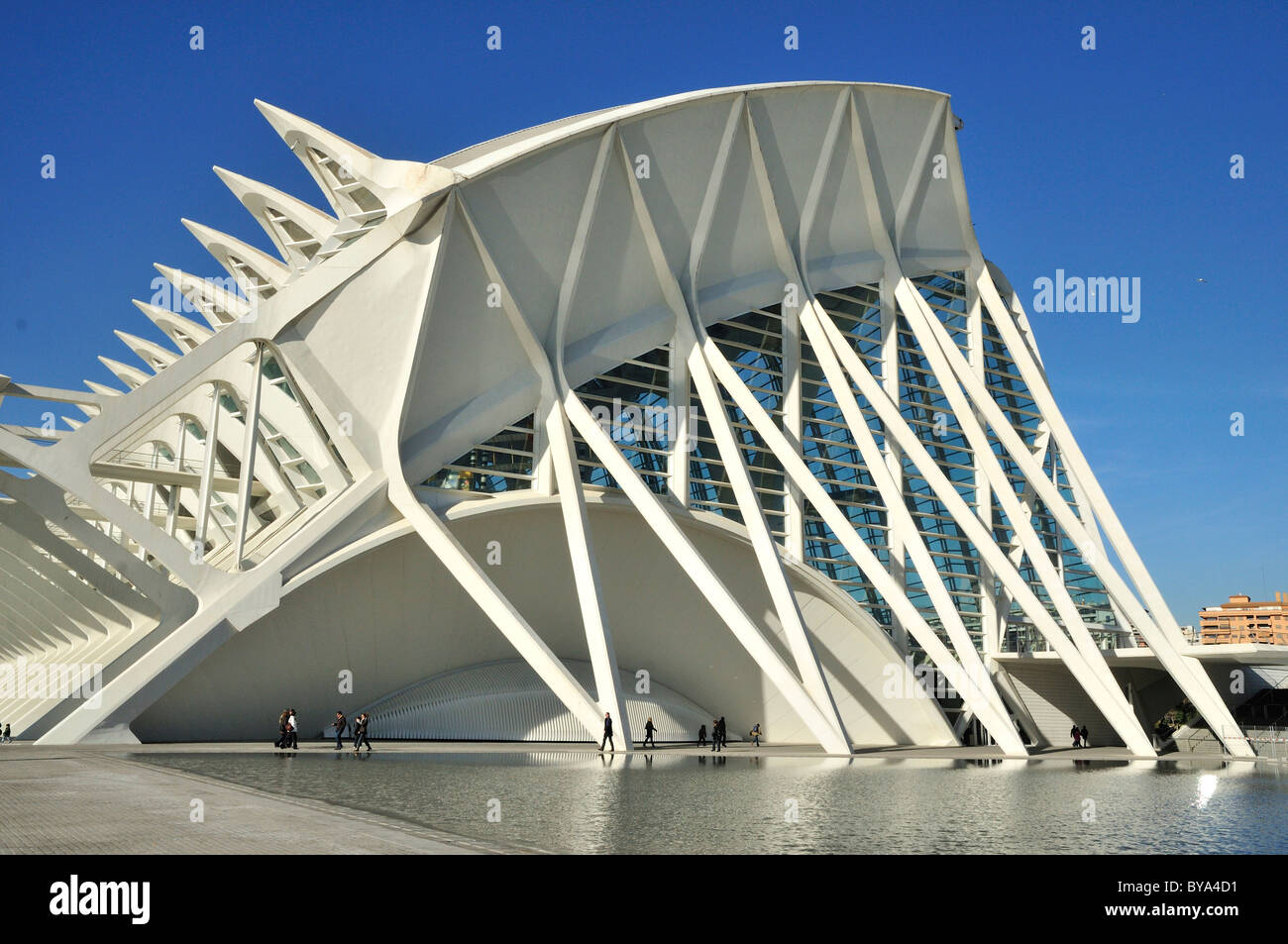 Museo de Las Ciencias Príncipe Filipe in der Ciudad de Las Artes y Las Ciencias, die Stadt der Künste und Wissenschaften, entworfen von Spanisch Stockfoto Museo de Las Ciencias Príncipe Filipe in der Ciudad de Las Artes y Las Ciencias, die Stadt der Künste und Wissenschaften, entworfen von Spanisch Stockfoto