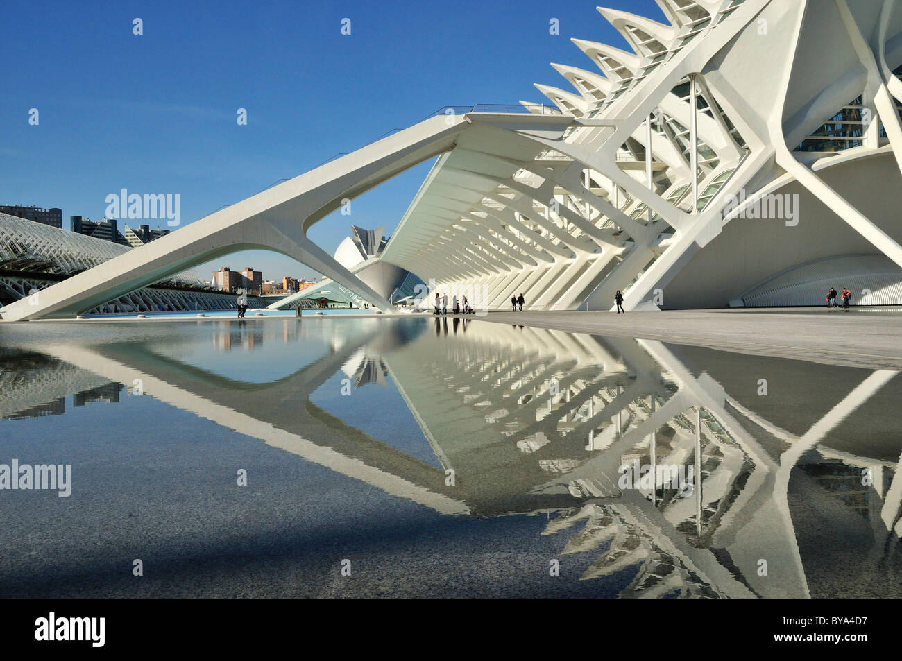 Museo de Las Ciencias Príncipe Filipe in der Ciudad de Las Artes y Las Ciencias, die Stadt der Künste und Wissenschaften, entworfen von Spanisch Stockfoto Museo de Las Ciencias Príncipe Filipe in der Ciudad de Las Artes y Las Ciencias, die Stadt der Künste und Wissenschaften, entworfen von Spanisch Stockfoto