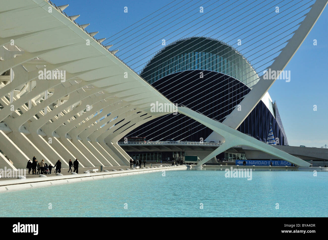 Museo de Las Ciencias Príncipe Filipe in der Ciudad de Las Artes y Las Ciencias, die Stadt der Künste und Wissenschaften, entworfen von Spanisch Stockfoto Museo de Las Ciencias Príncipe Filipe in der Ciudad de Las Artes y Las Ciencias, die Stadt der Künste und Wissenschaften, entworfen von Spanisch Stockfoto