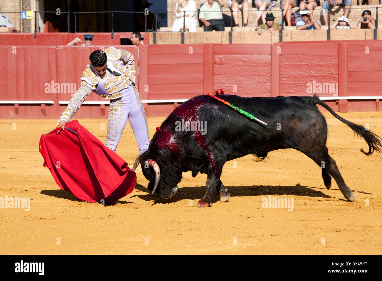 Torero, Matador mit Stier, Plaza de Toros De La Maestranza Stierkampfarena, Sevilla, Andalusien, Spanien, Europa Stockfoto