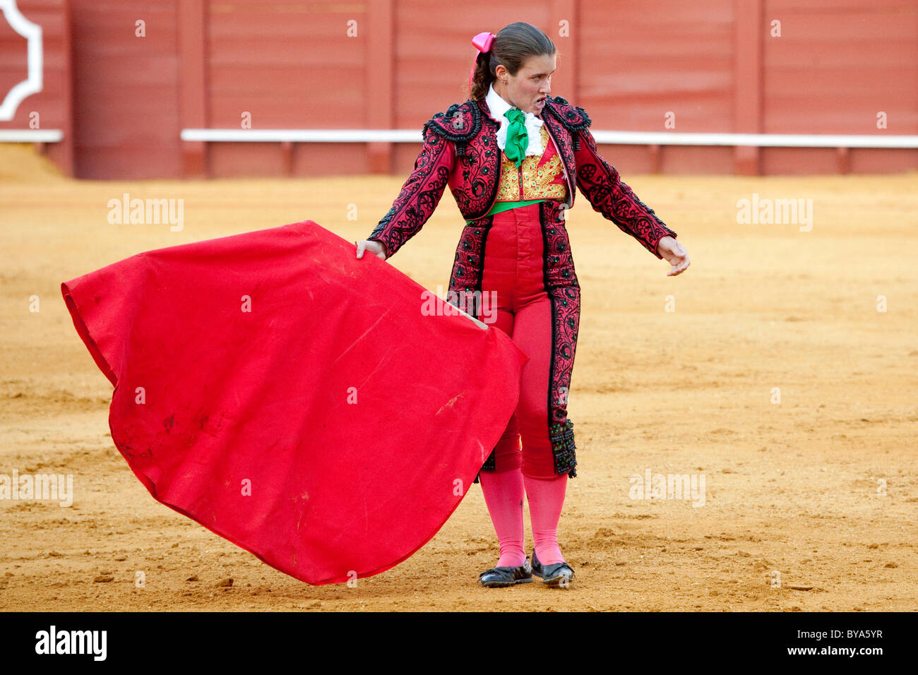 Weibliche Torero oder Torera, Matador mit Stier, Plaza de Toros De La Maestranza Stierkampfarena, Sevilla, Andalusien, Spanien, Europa Stockfoto