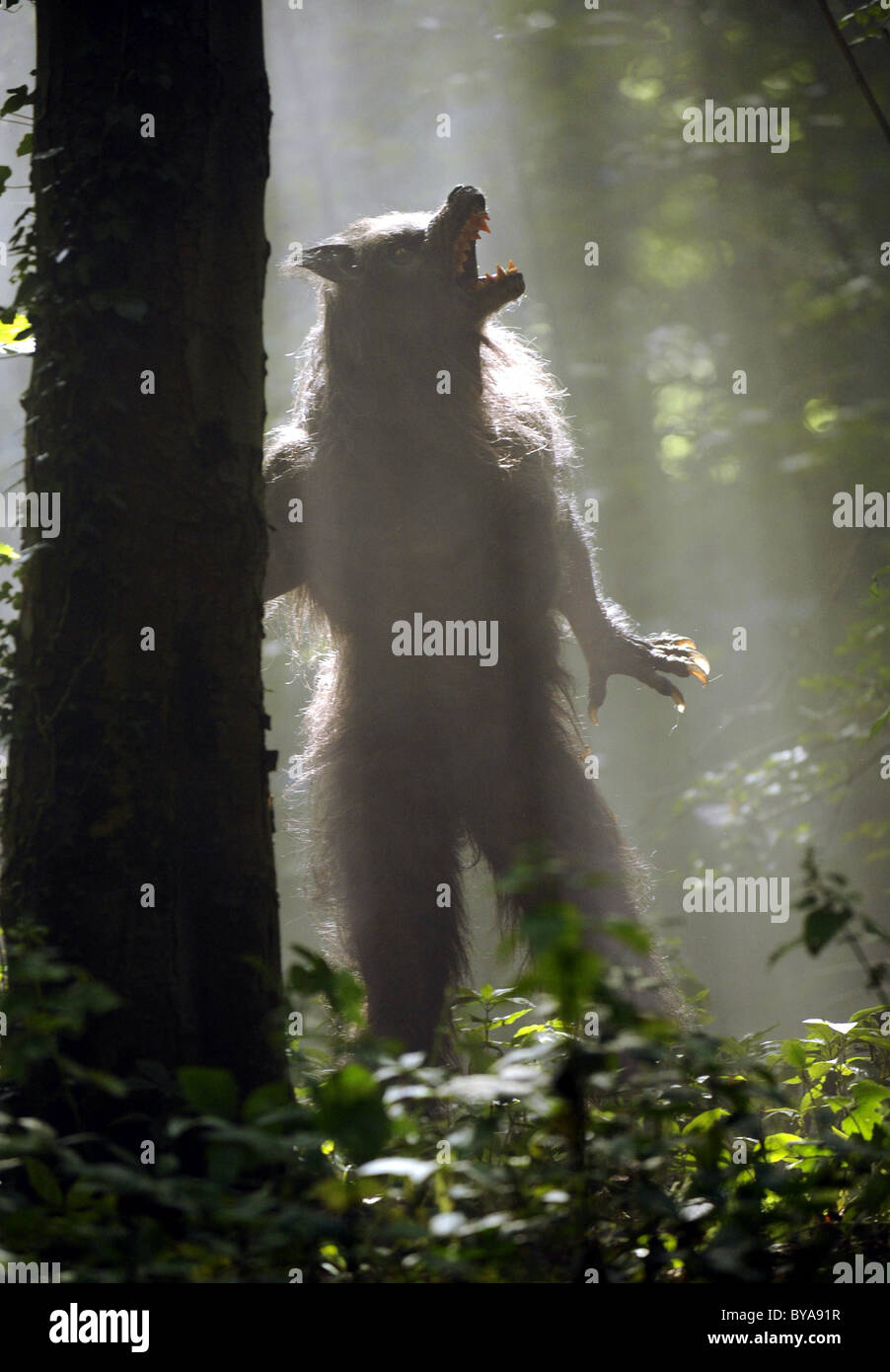 Wird der TV-Serie 2008 -??? UK erstellt von: Toby Whithouse Stockfoto