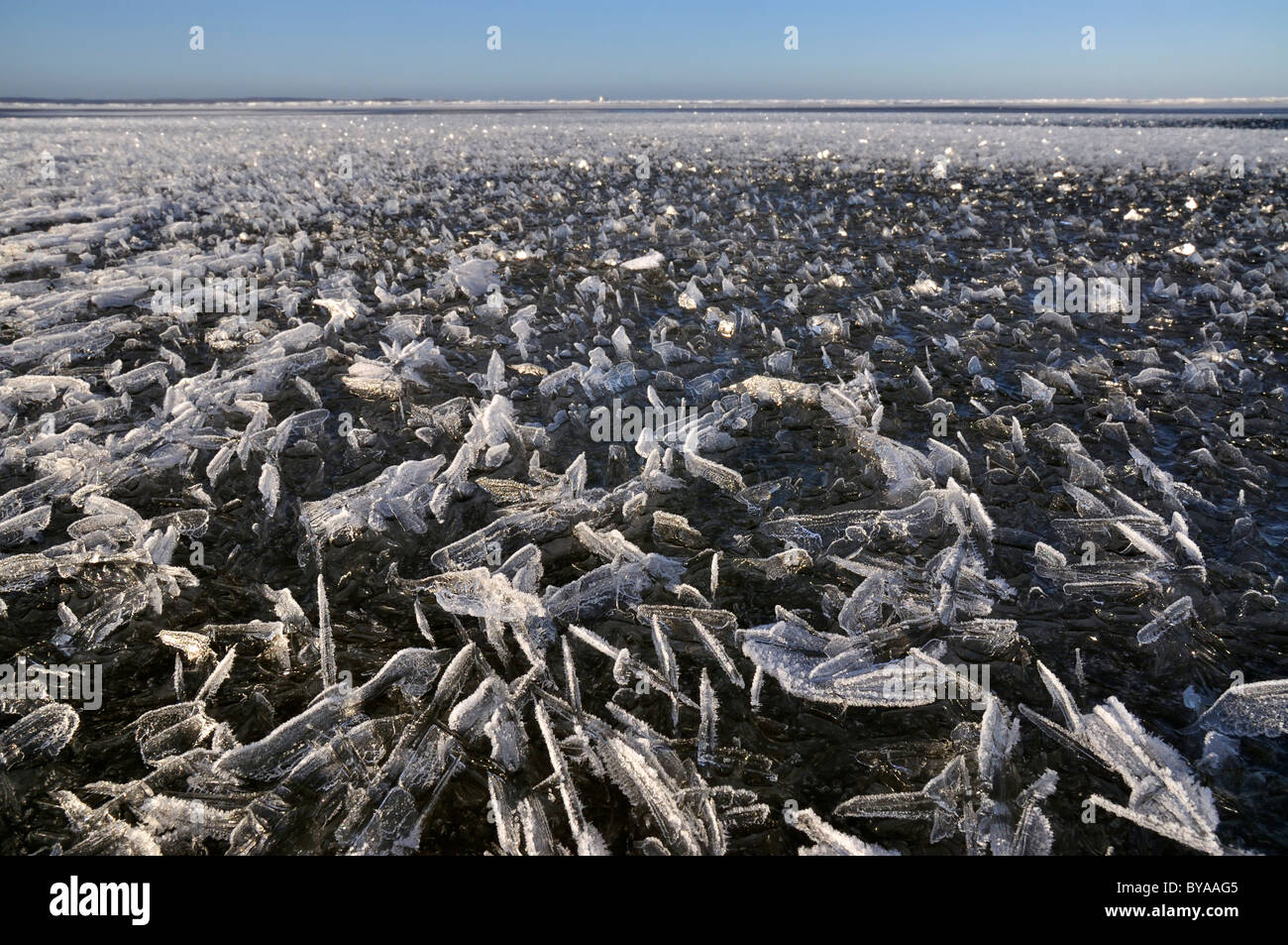 Über über Flachwasser Bereich der Ostsee aus Stein, Probstei, Plön Bezirk, Schleswig-Holstein, Deutschland, Europa Stockfoto