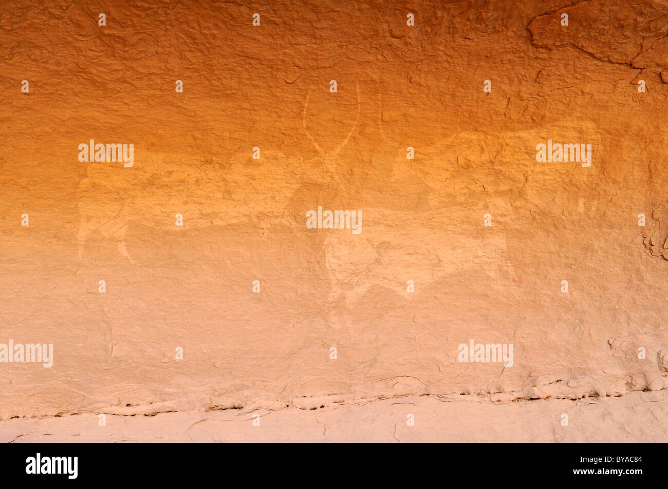 Neolithischen Felszeichnungen, Malerei der Kühe oder Bullen, Tasset Plateau, Tassili n ' Ajjer National Park, UNESCO-Weltkulturerbe Stockfoto