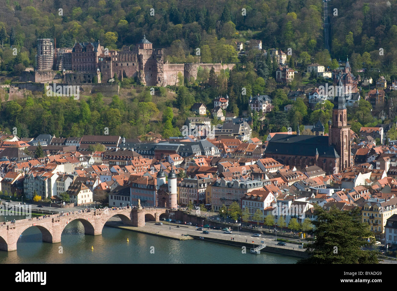 Blick auf die Stadt vom Philosophen Walk, Heidelberg, Neckar, Pfalz, Baden-Württemberg, Deutschland, Europa Stockfoto