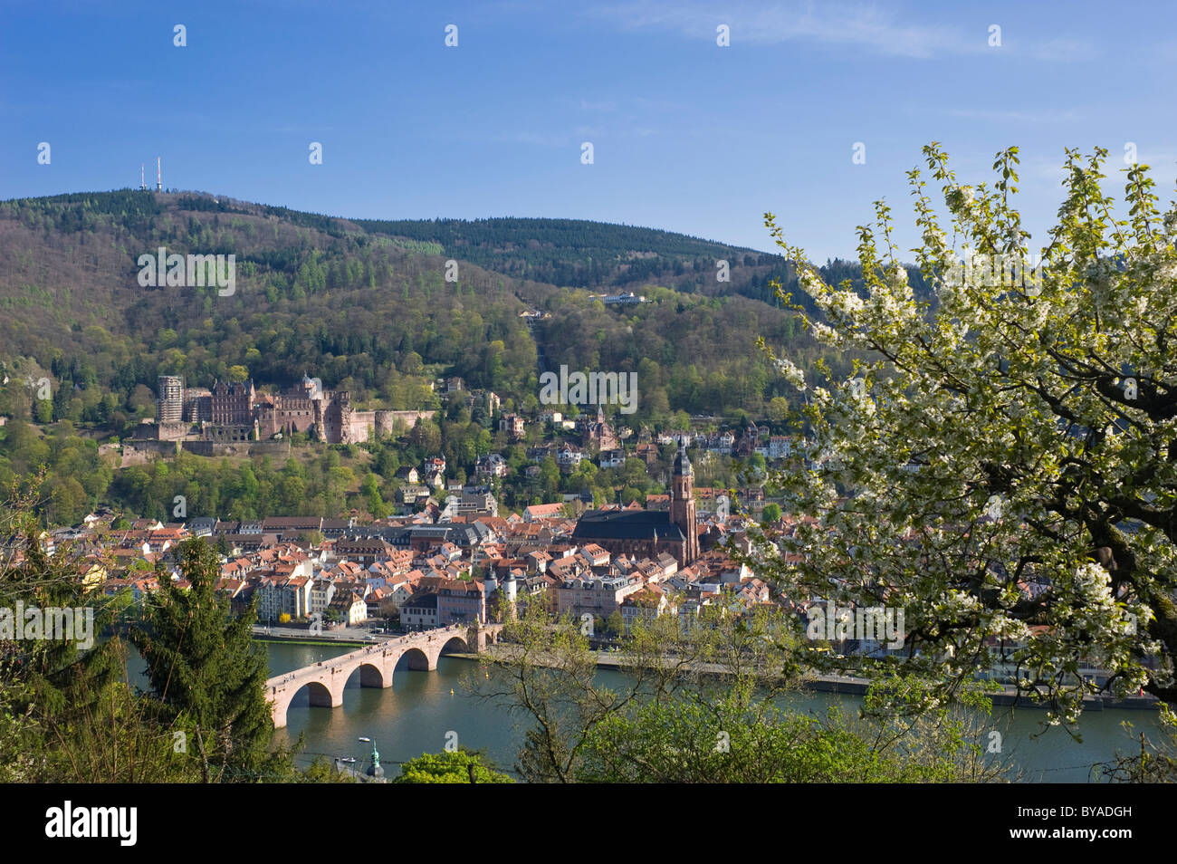 Blick auf die Stadt vom Philosophen Walk, Heidelberg, Neckar, Pfalz, Baden-Württemberg, Deutschland, Europa Stockfoto