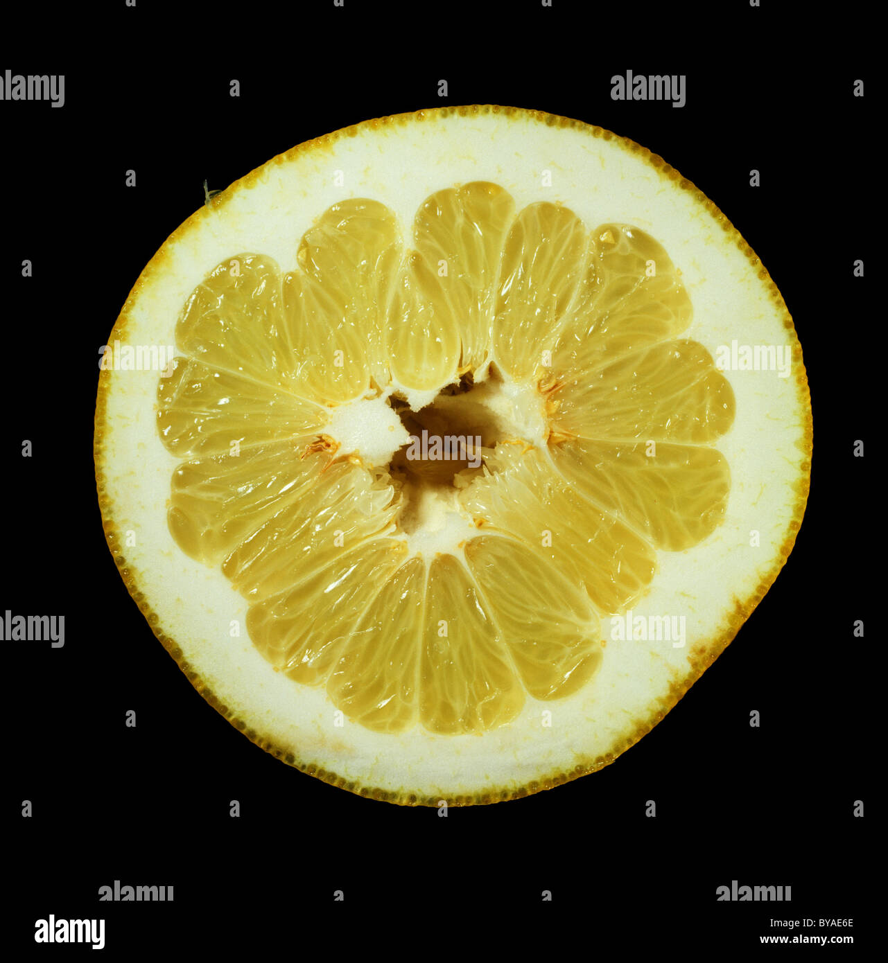 Schnitt Pampelmuse, Pomelo oder Pommelo Obst Stockfoto