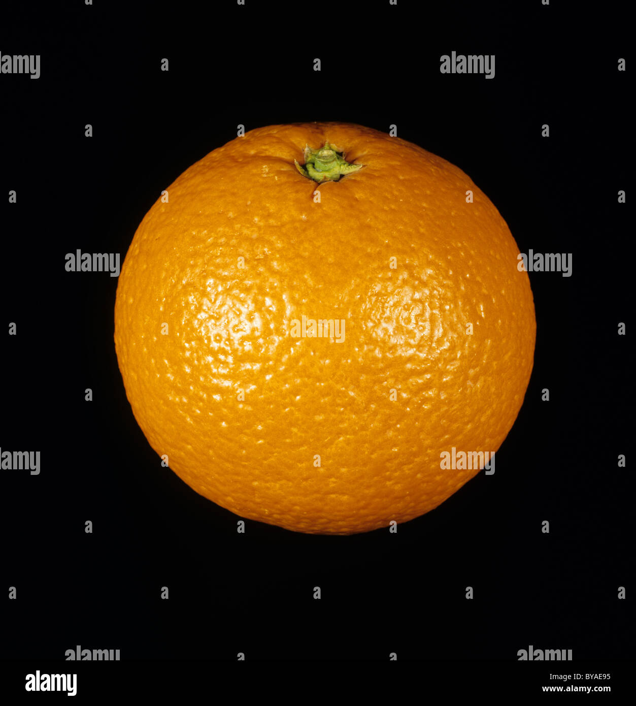 Gesamten Zitrusfrucht, orange Sorte Salustiana Stockfoto