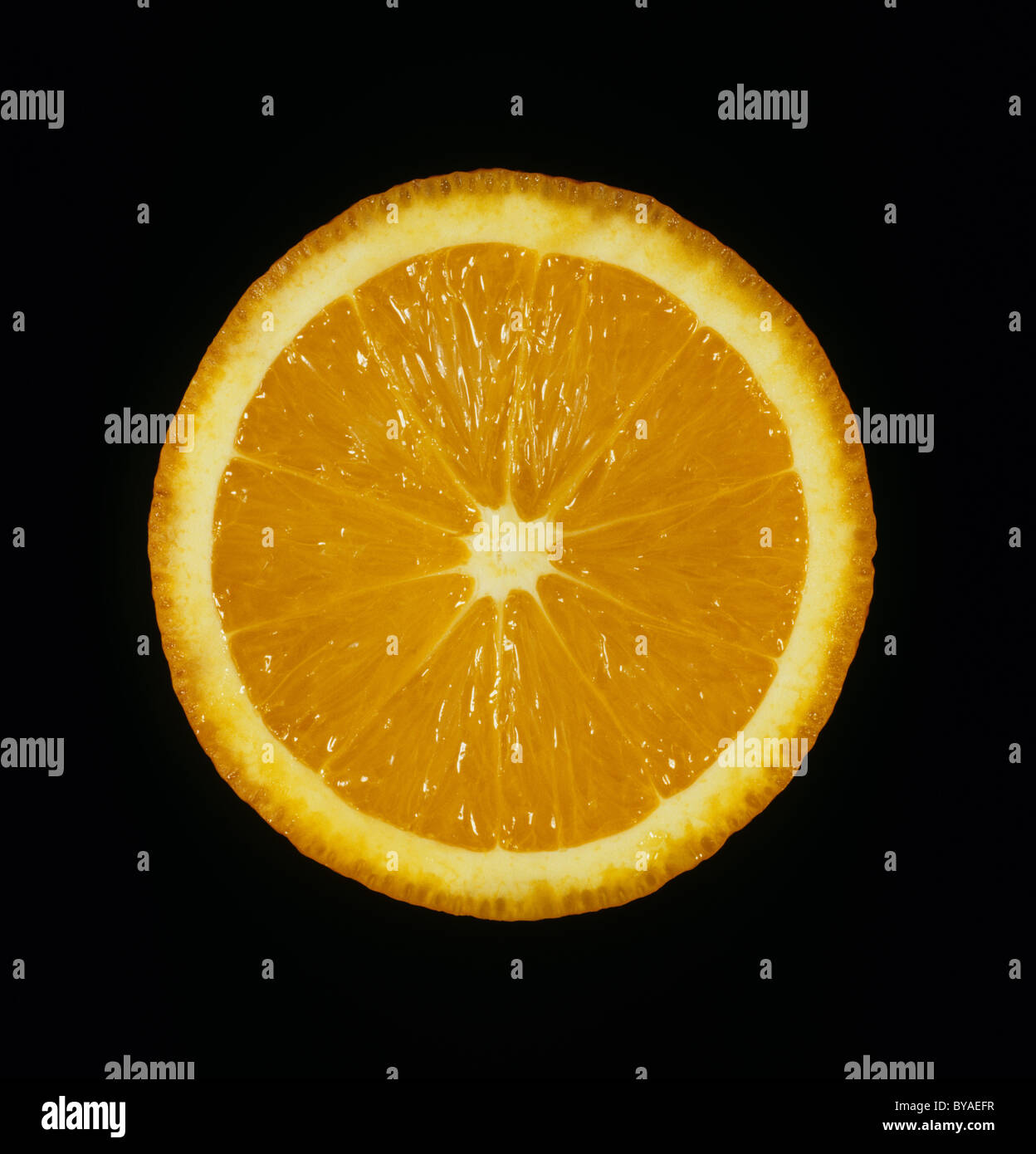 Abschnitt der geschnittenen Zitrusfrüchten, orange Sorte Salustiana Stockfoto