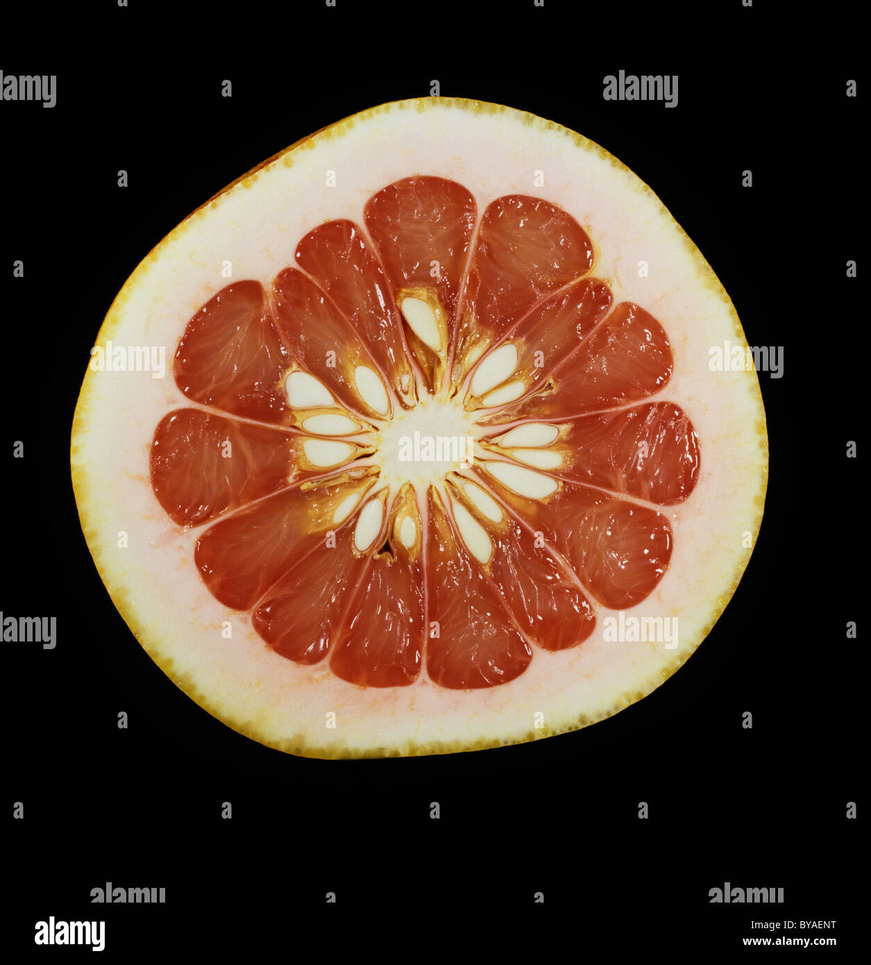 Schnitt rot-konkretisiert Pampelmuse, Pomelo oder Pommelo Obst Stockfoto