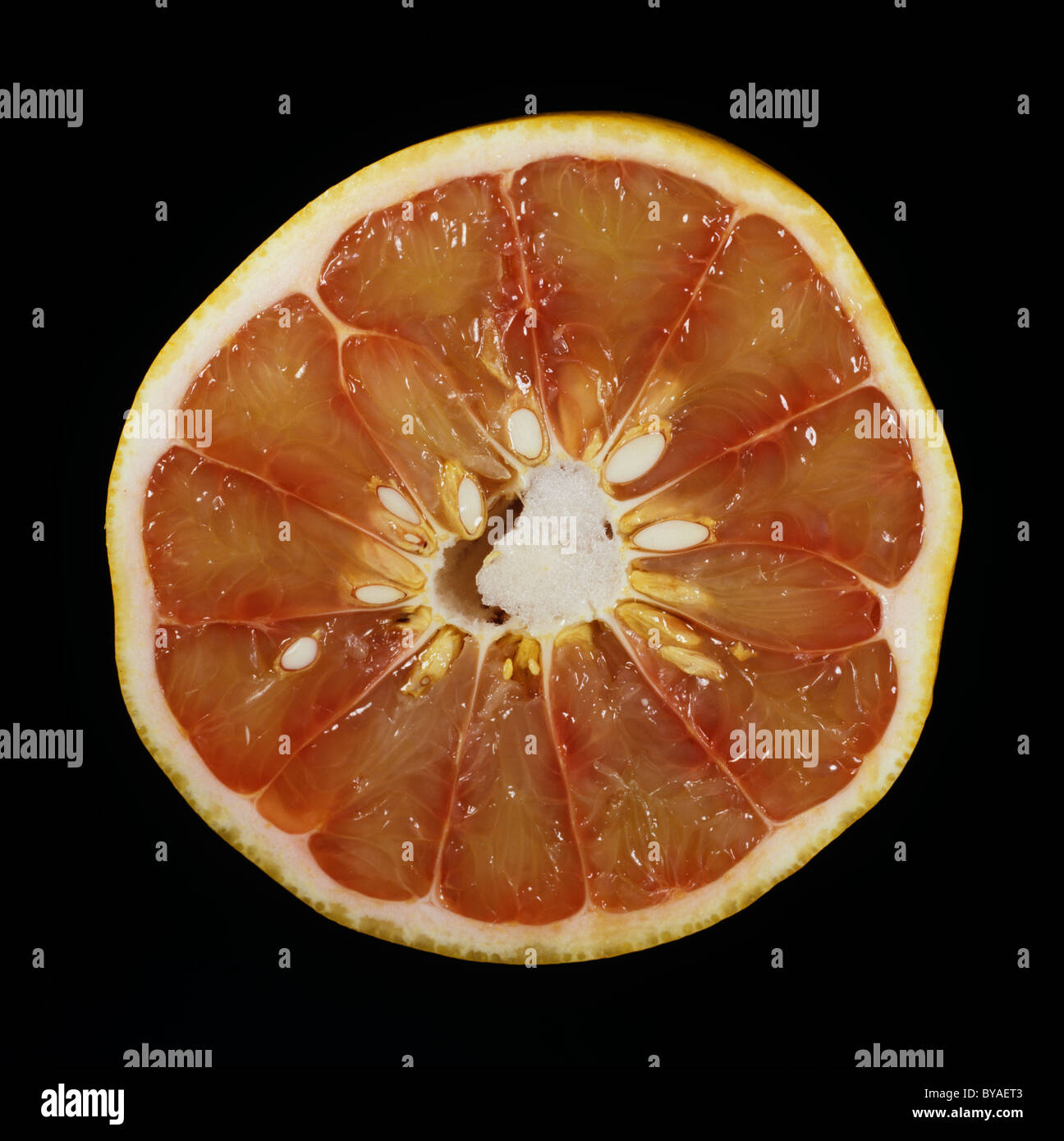 Schnitt prall rosa Pampelmuse, Pomelo oder Pommelo Obst Stockfoto
