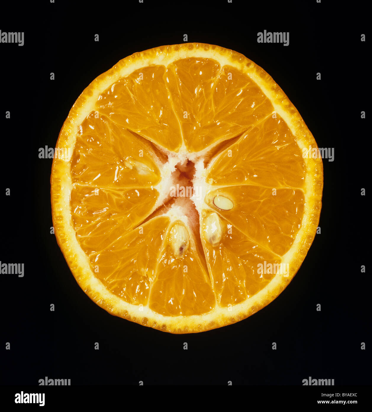 Schnittfläche von Clementine Obstsorte Seite Stockfoto