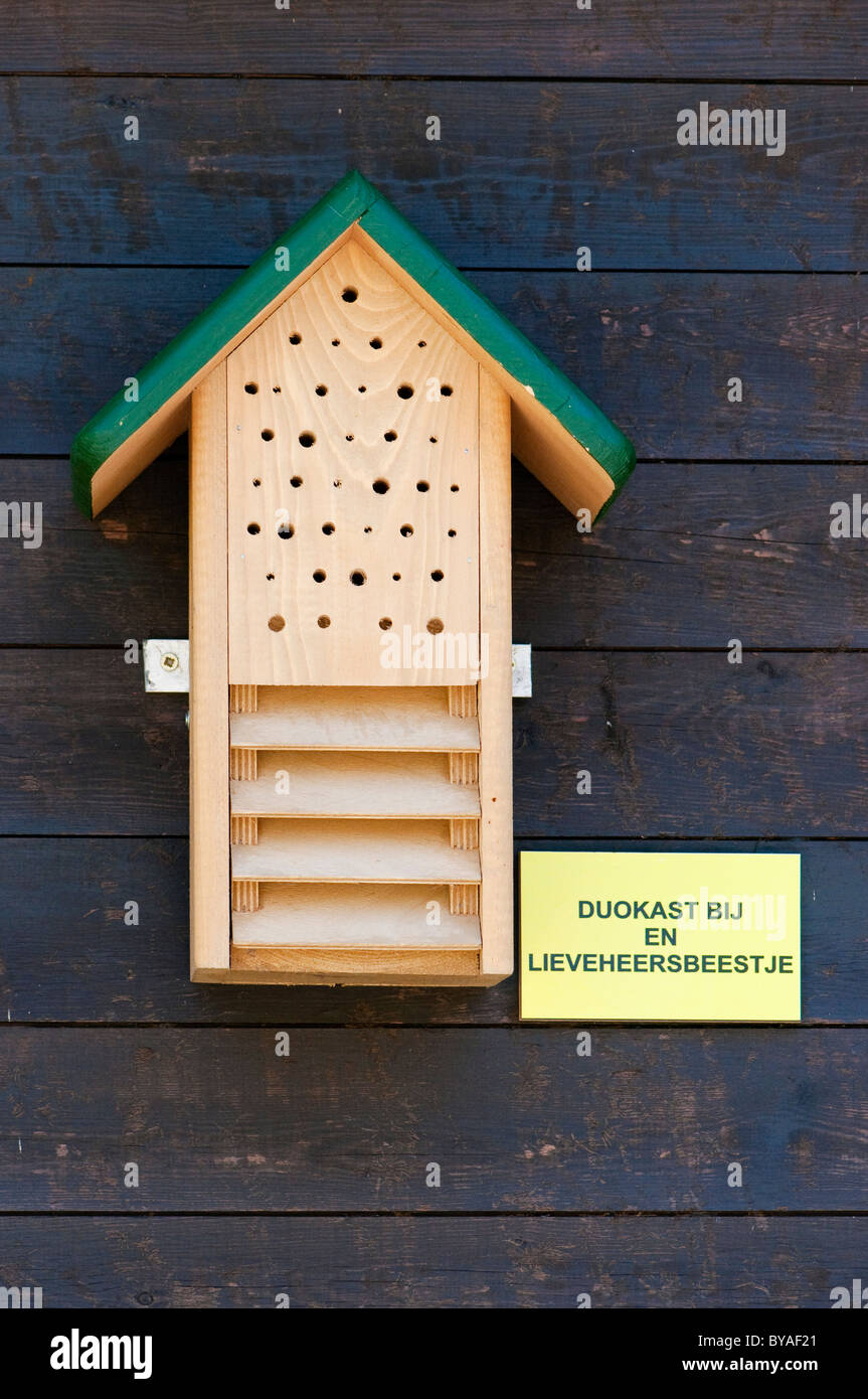 Bienenhaus und Marienkäfer (Coccinellidae) Nistkasten, Belgien Stockfoto