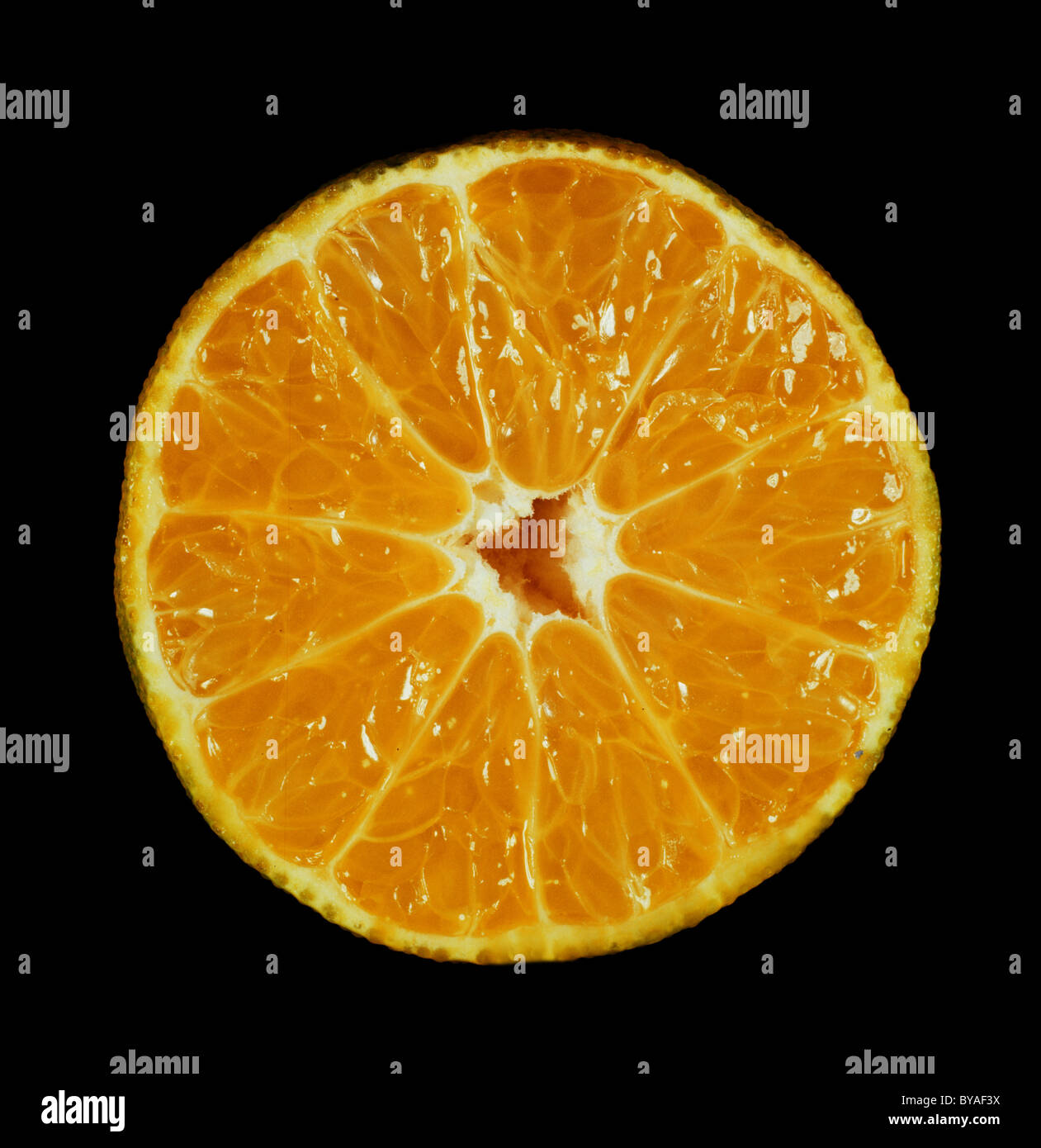 Schnittfläche Zitrusfrüchte Clementine Sorte Bekria Stockfoto