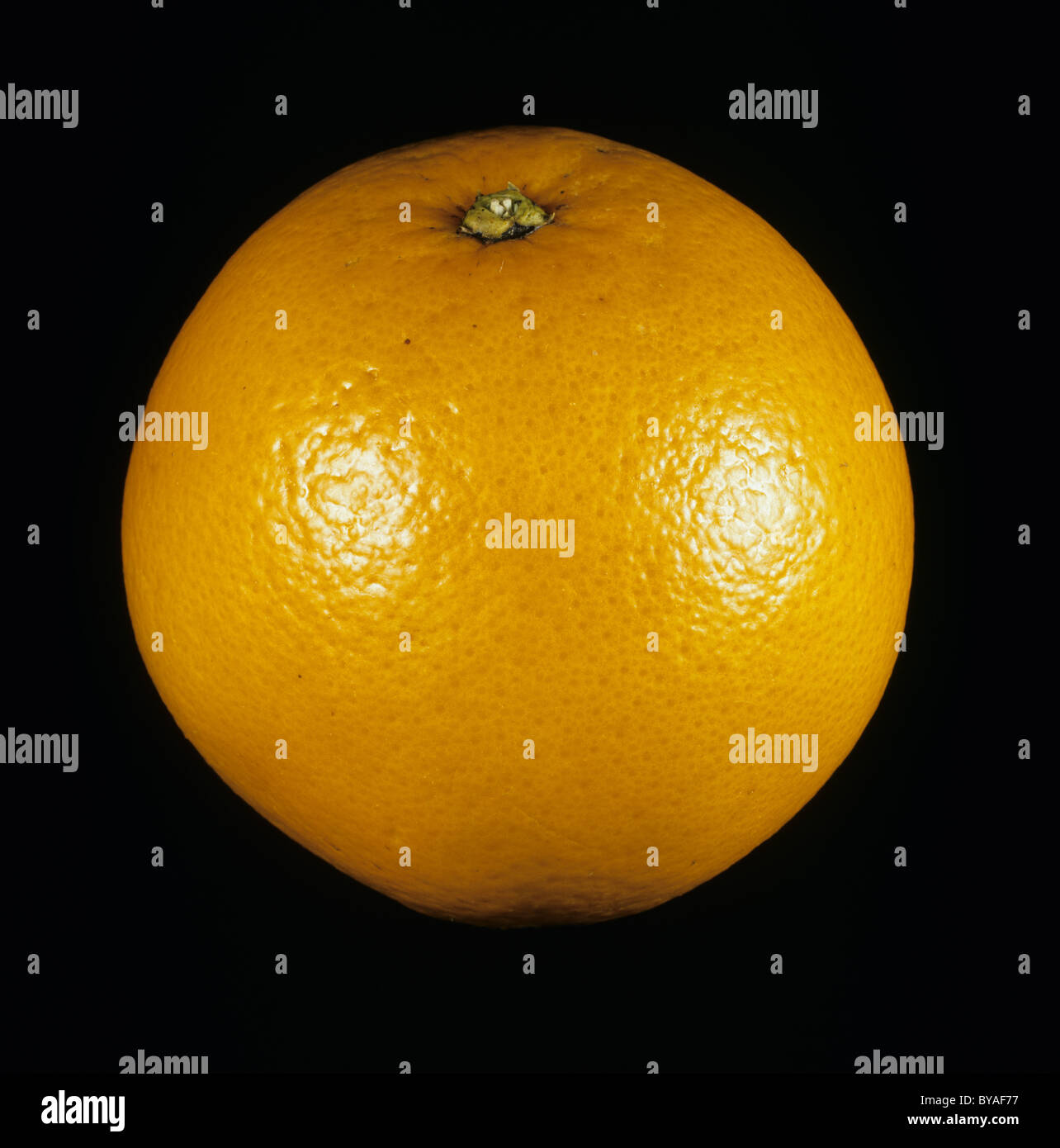Ganze orange Obstsorte Ananas Stockfoto