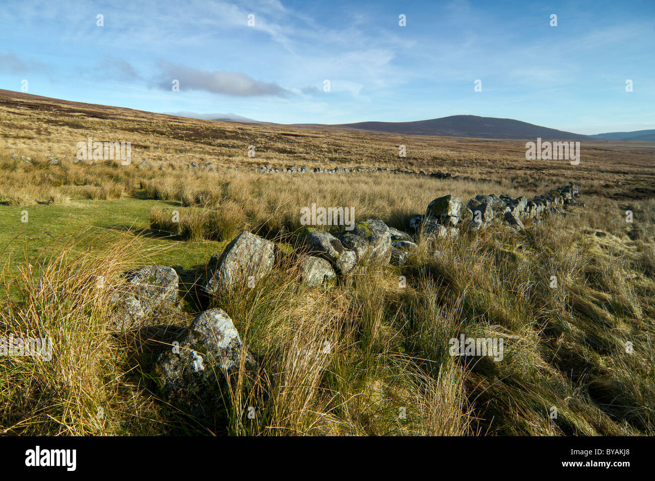 Typisch irische Landschaft. In Wicklow Mountains gedreht. Stockfoto