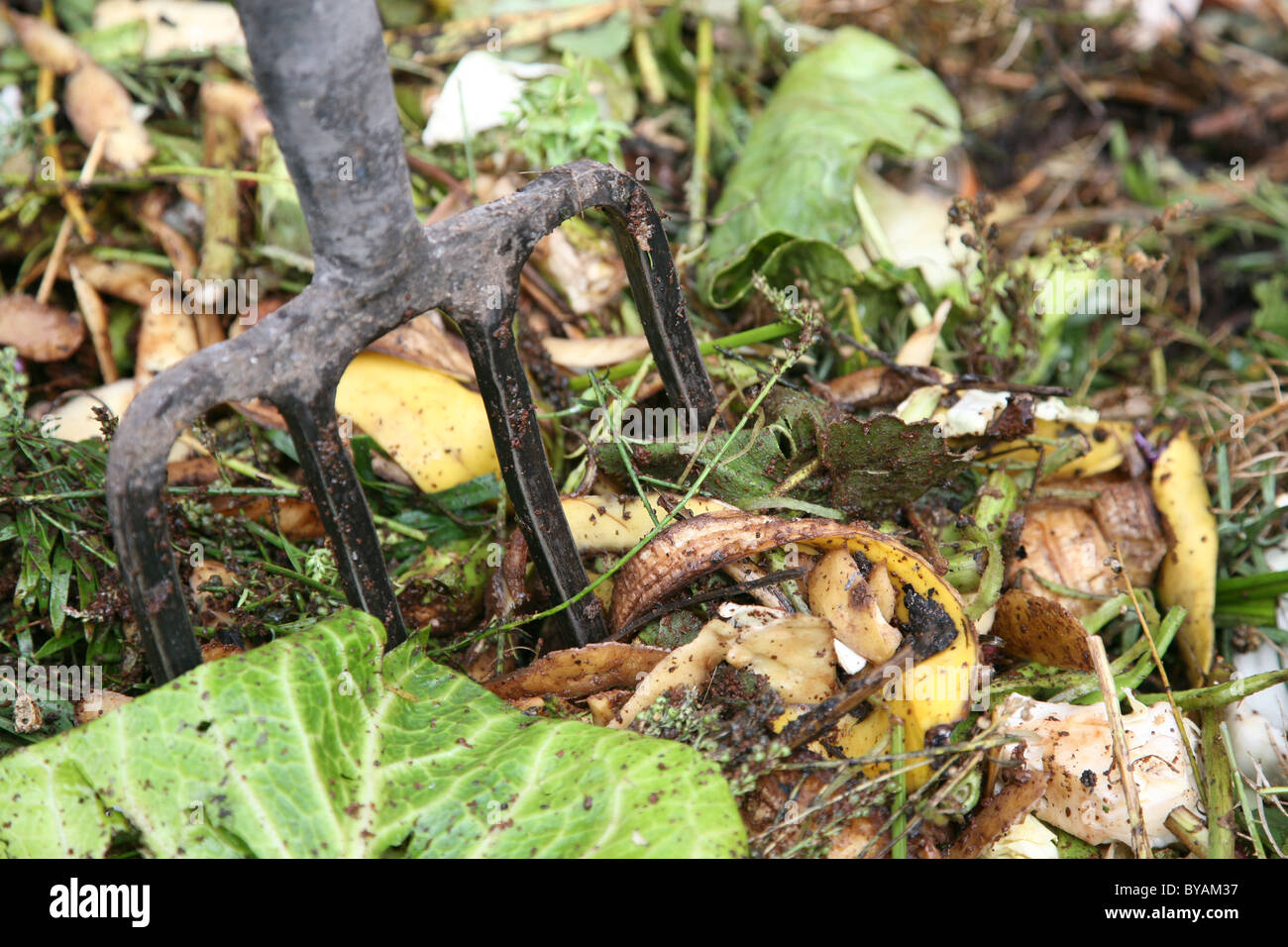 Gartenabfälle verrotten nach unten Stockfoto