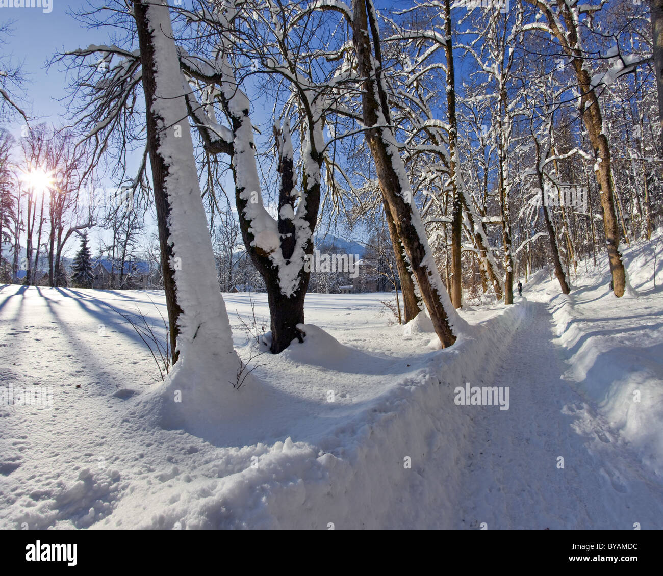 DE - Bayern: Winterscene in der Nähe von Lenggries Stockfoto