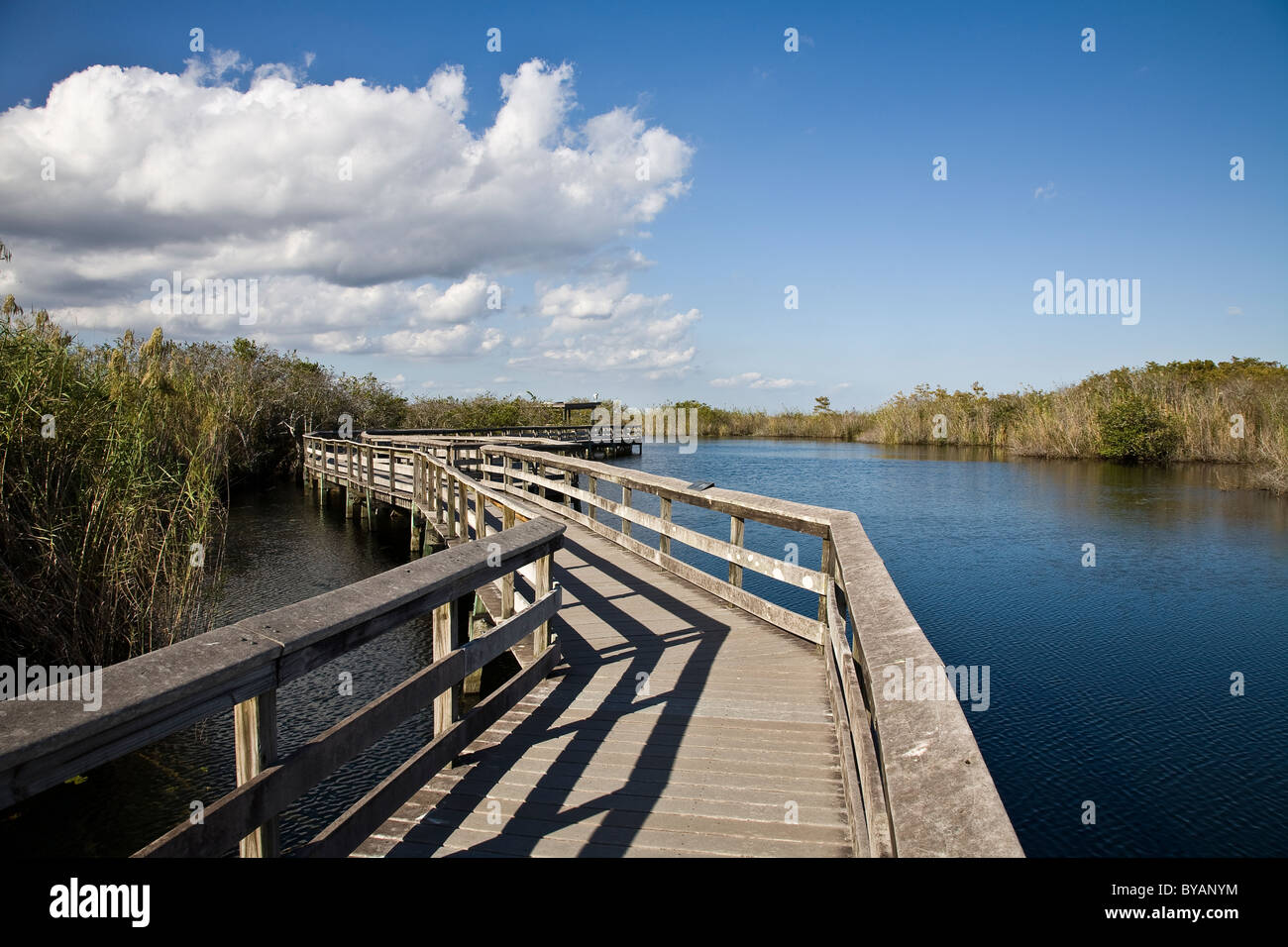 Anhinga Trail führt den Besucher von das Royal Palm Activity Center in ein Wunderland der Tierwelt im Everglades Nationalpark, FL, USA Stockfoto