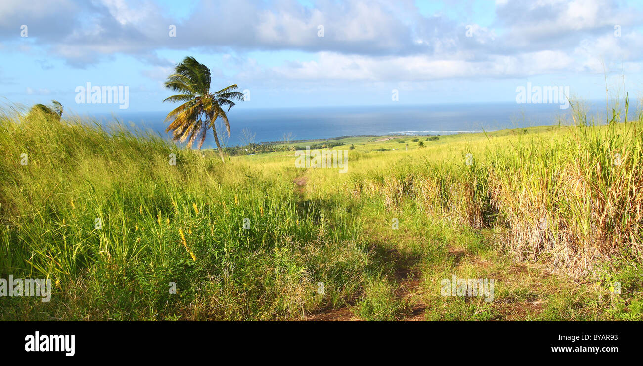 Saint Kitts Landschaft Stockfoto