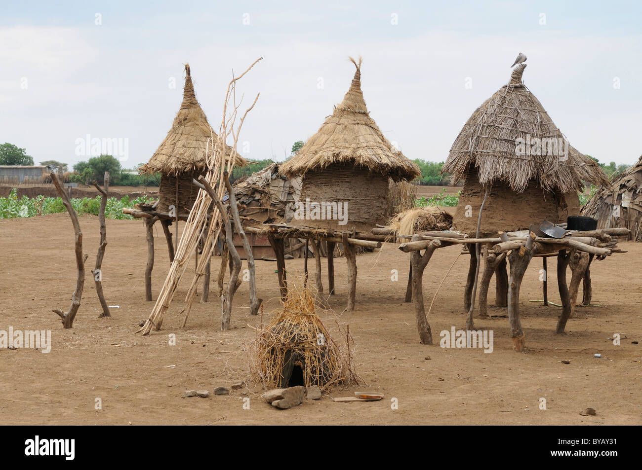 Traditionellen Getreidespeicher, Oromote Stamm, Süd-Omo-Tal, Äthiopien, Äthiopien, Südafrika Stockfoto