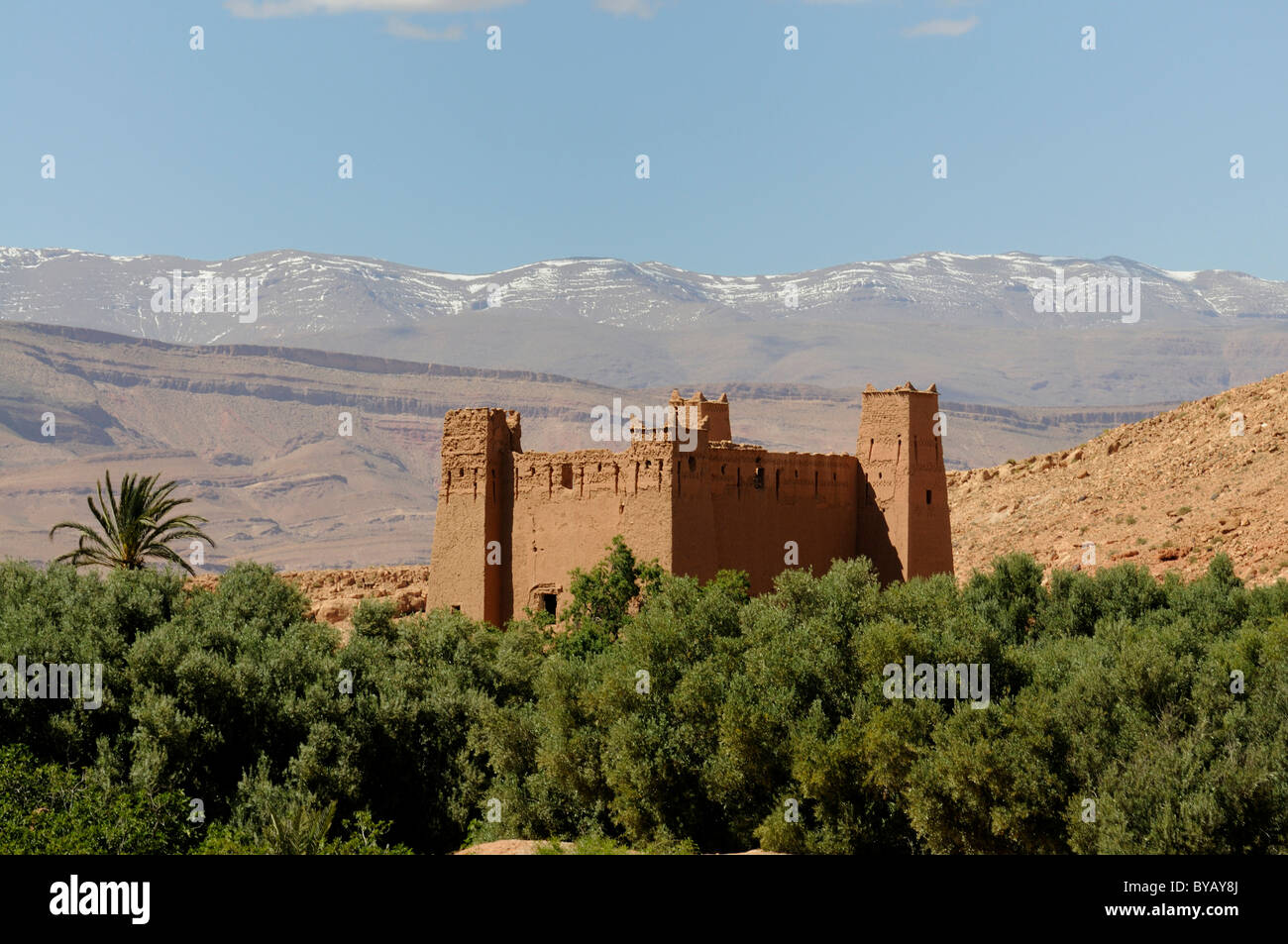 Kasbah, Dades Schlucht, Marokko, Afrika Stockfoto