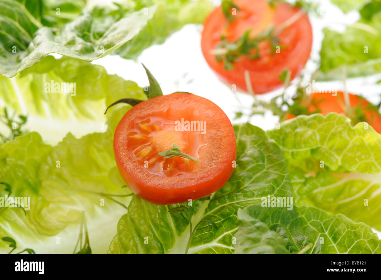 Tomaten, Salat und Kresse Stockfoto