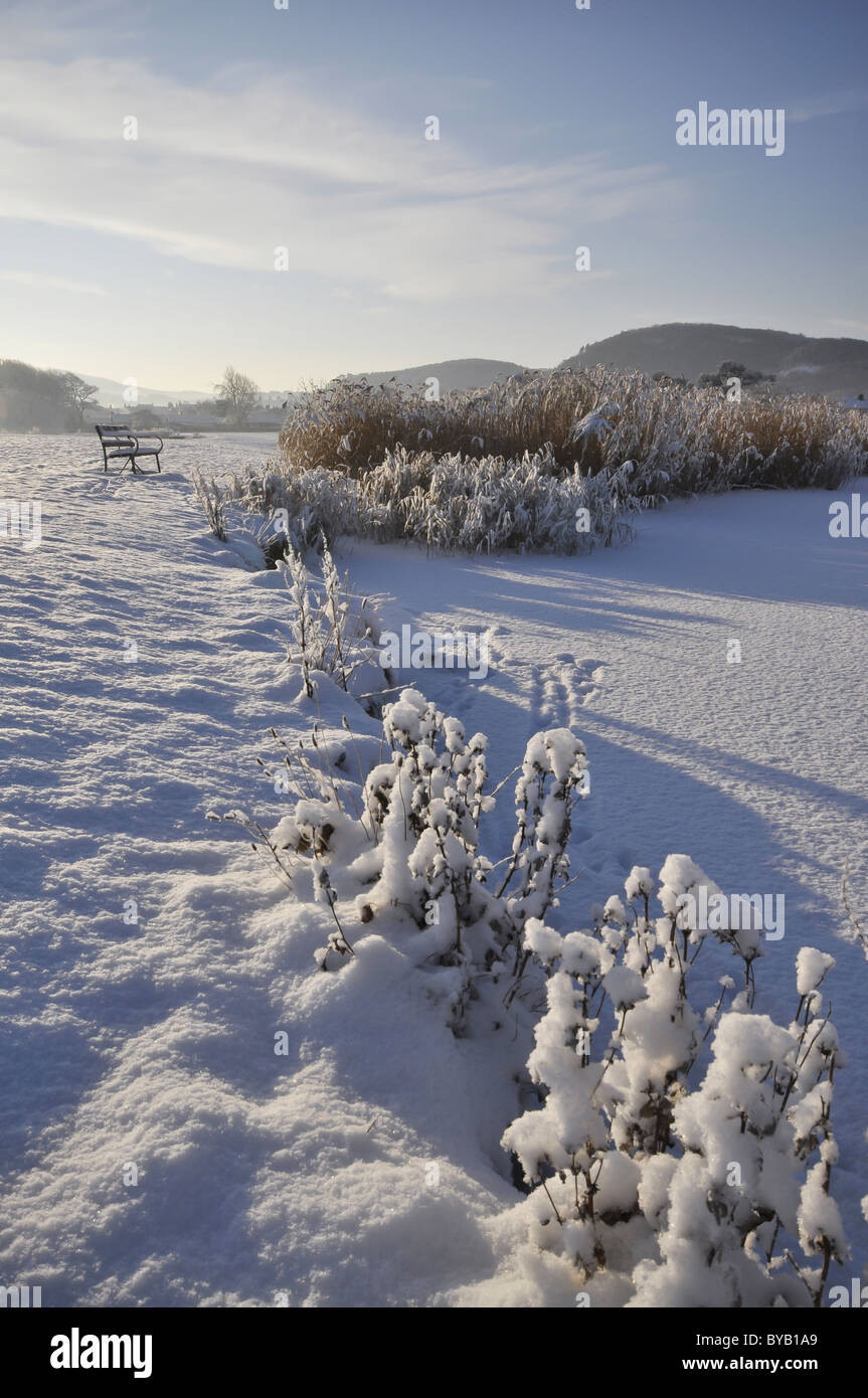 Schneereichen Winter Park Stockfoto