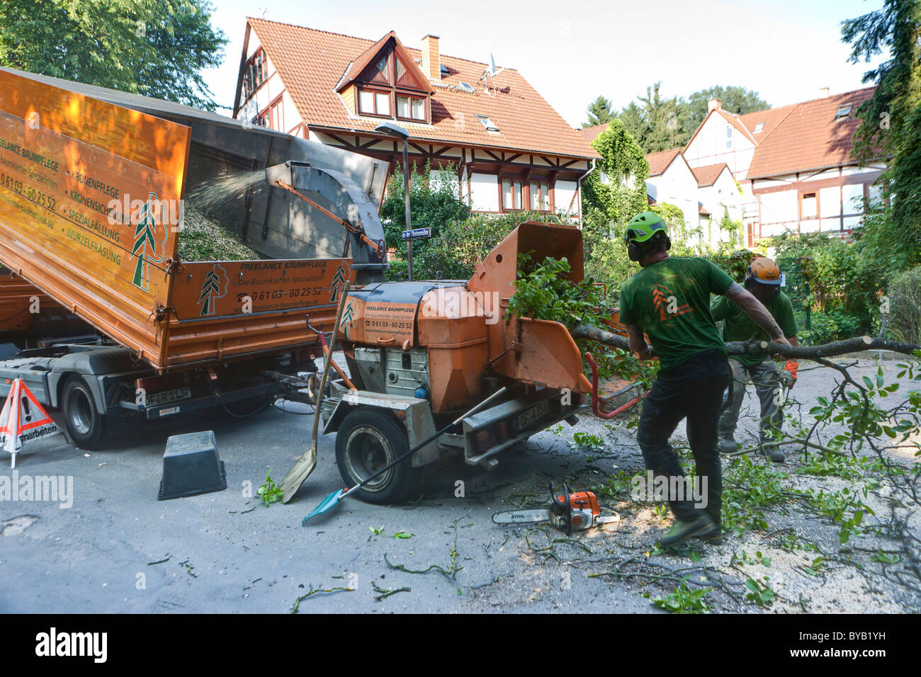 Holzfäller wirft einen Schnitt auf Baum in einen Häcksler für die Zerkleinerung, Deutschland, Europa Stockfoto